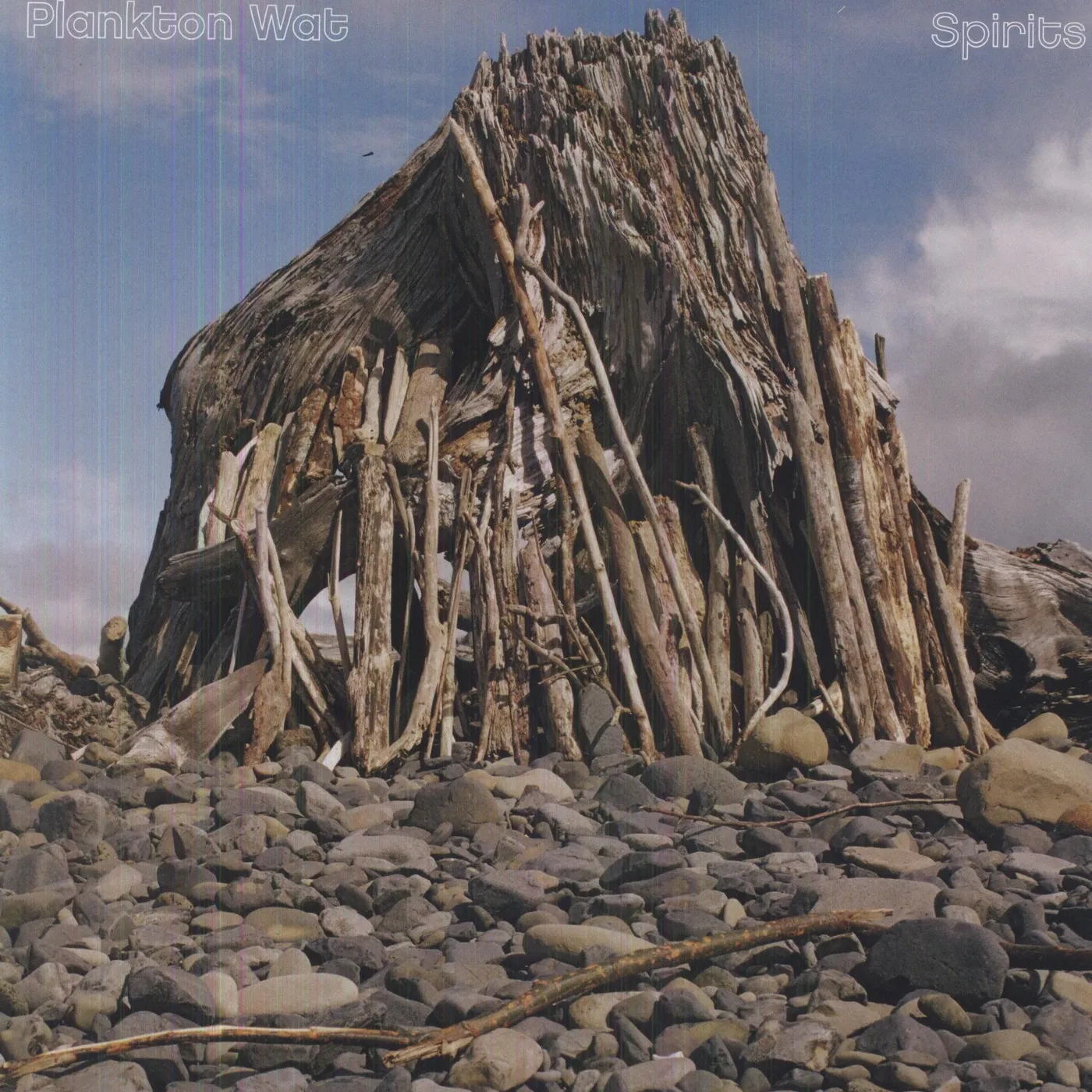 Plankton Wat Spirits Vinyl Record
