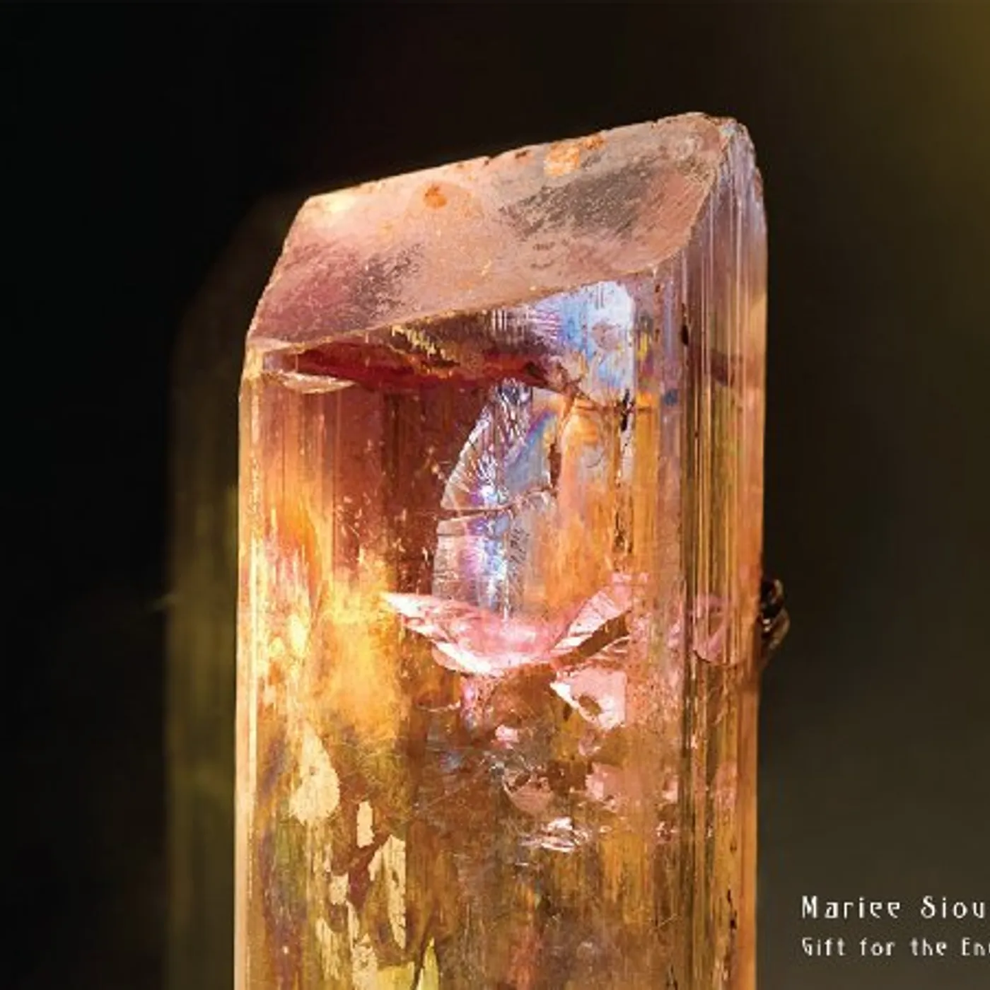 Mariee Sioux Gift For The End Vinyl Record