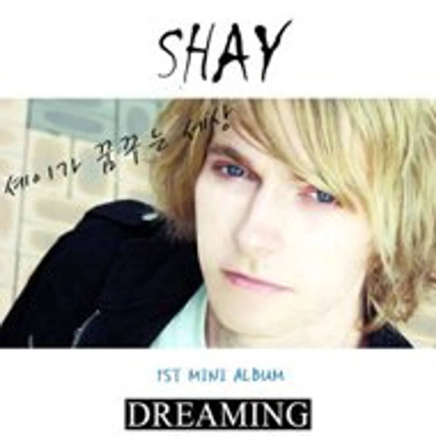 Shay DREAMING CD