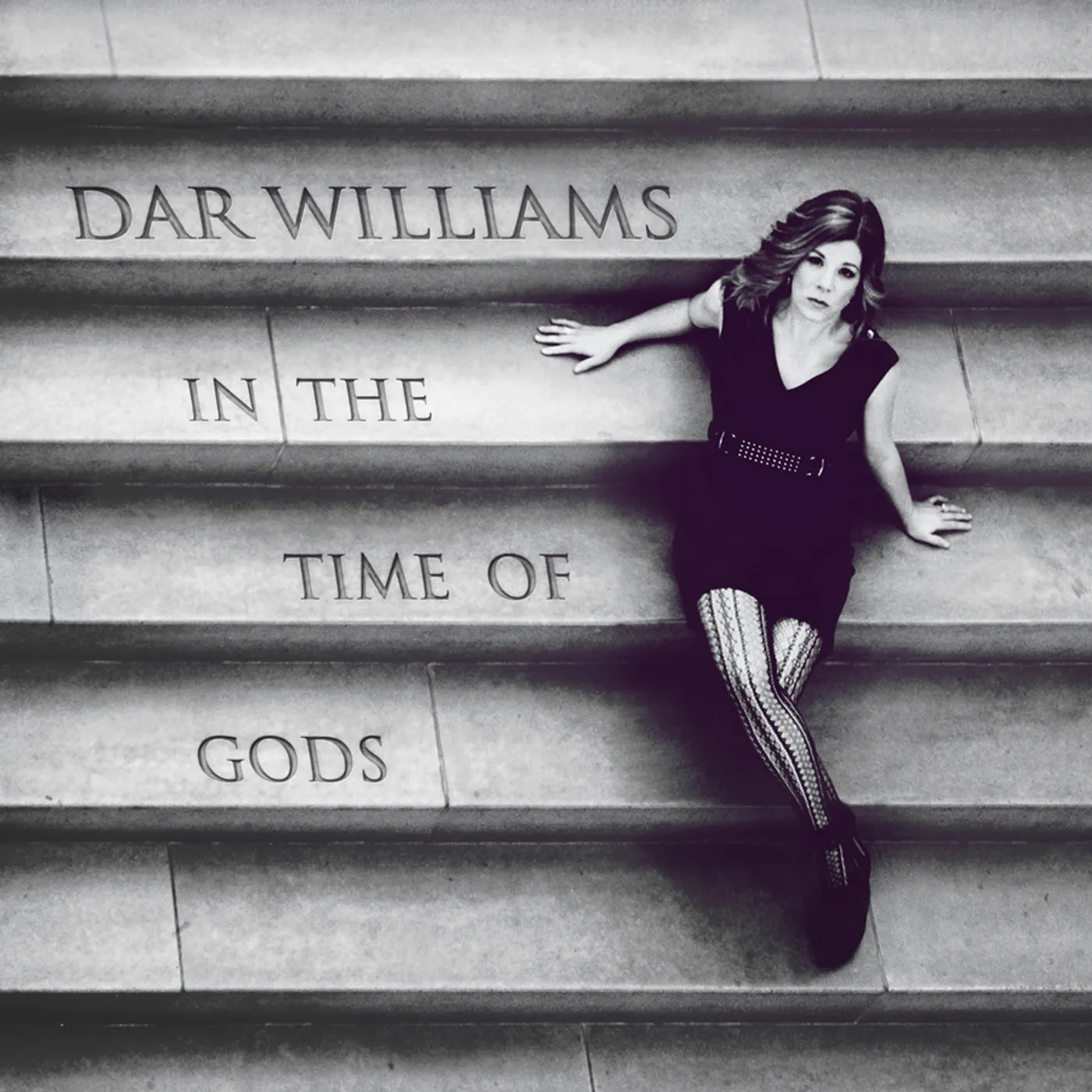 Dar Williams IN THE TIME OF THE GODS CD