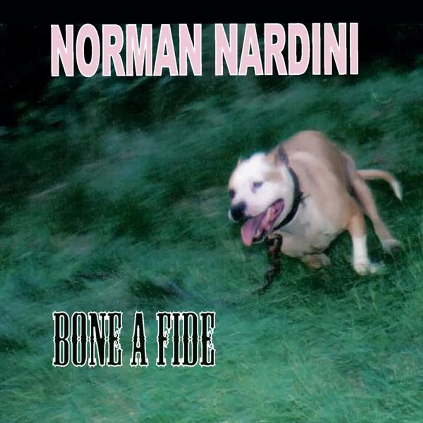 Norman Nardini BONE A FIDE CD