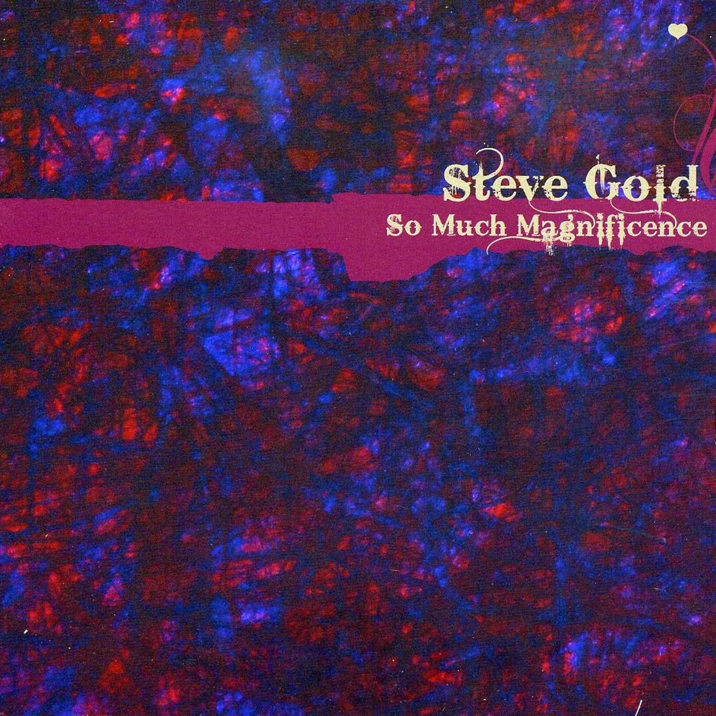 Steve Gold SO MUCH MAGNIFICENCE CD