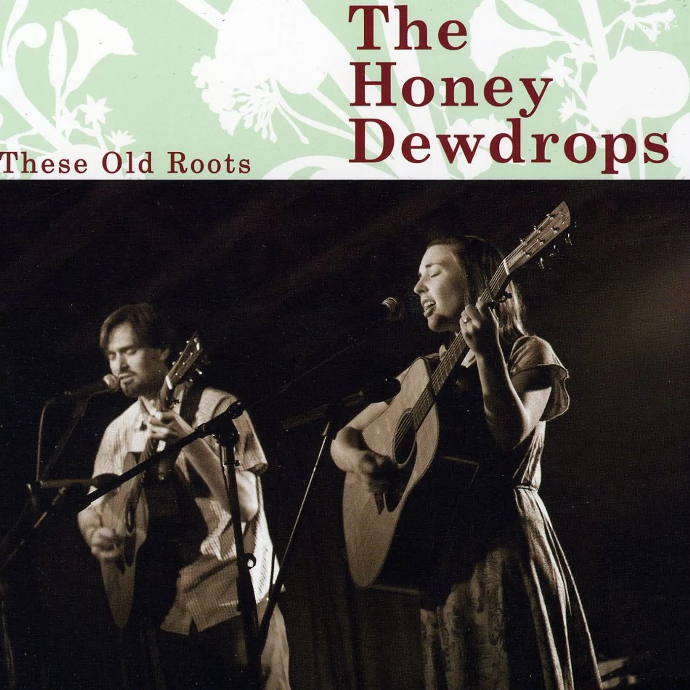 The Honey Dewdrops THESE OLD ROOTS CD
