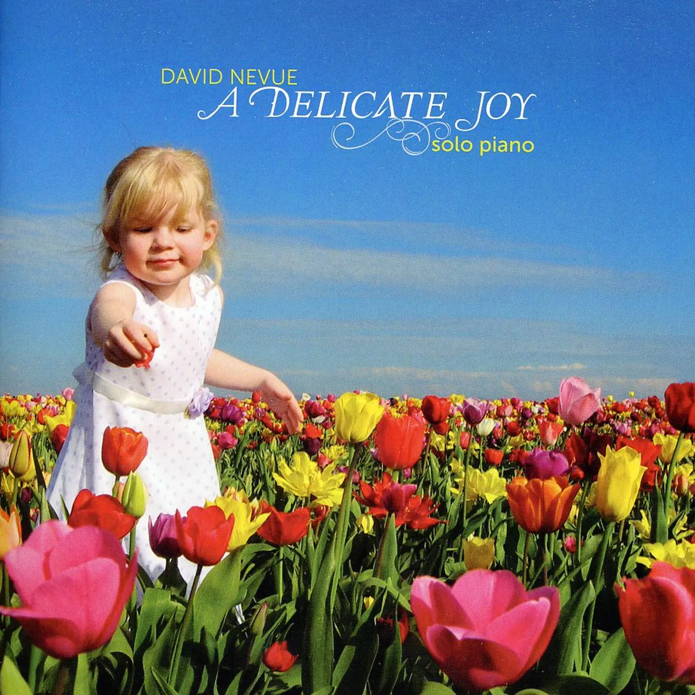 David Nevue DELICATE JOY CD