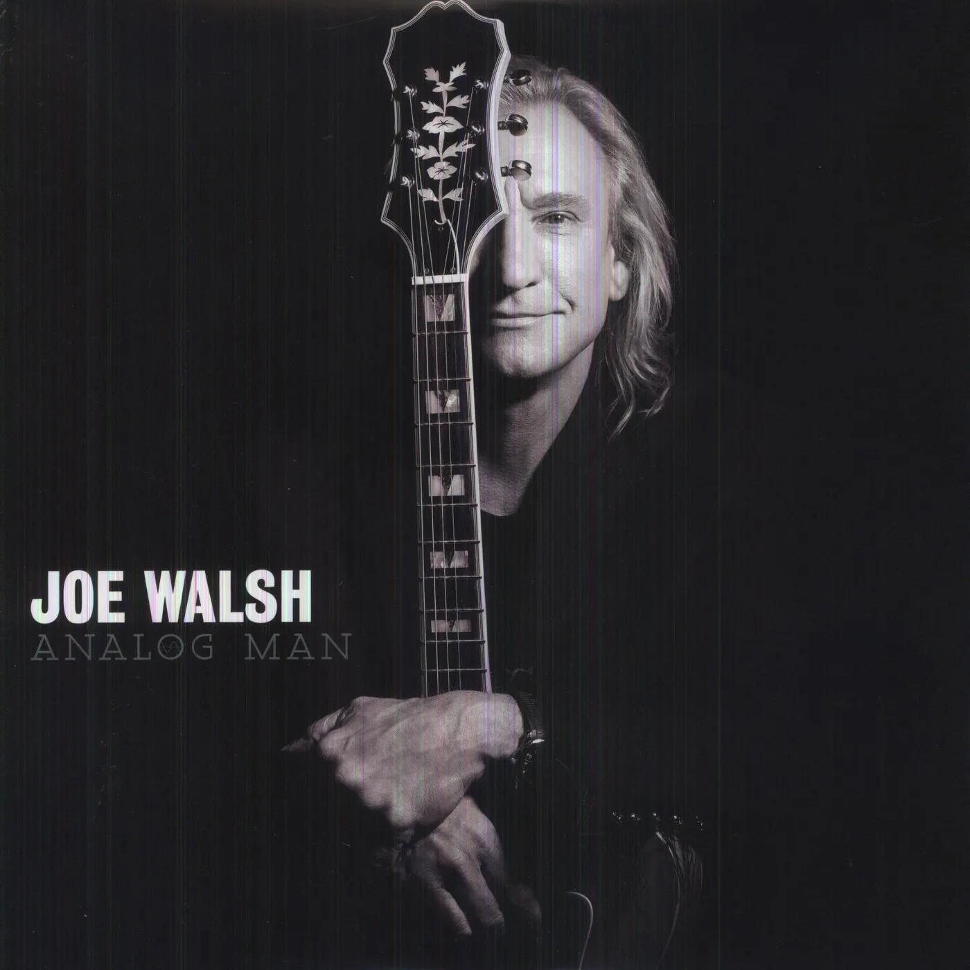 Joe Walsh Analog Man Vinyl Record