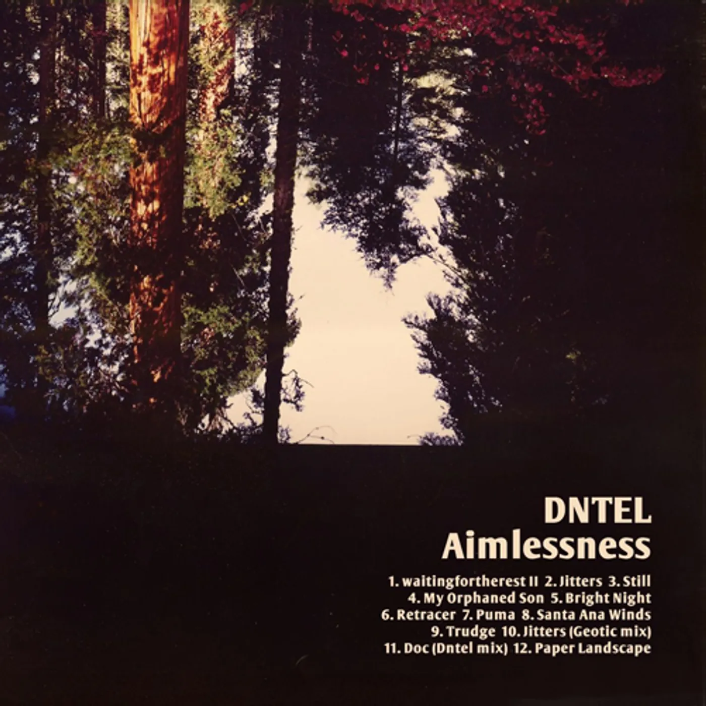 Dntel AIMLESSNESS Vinyl Record - w/CD