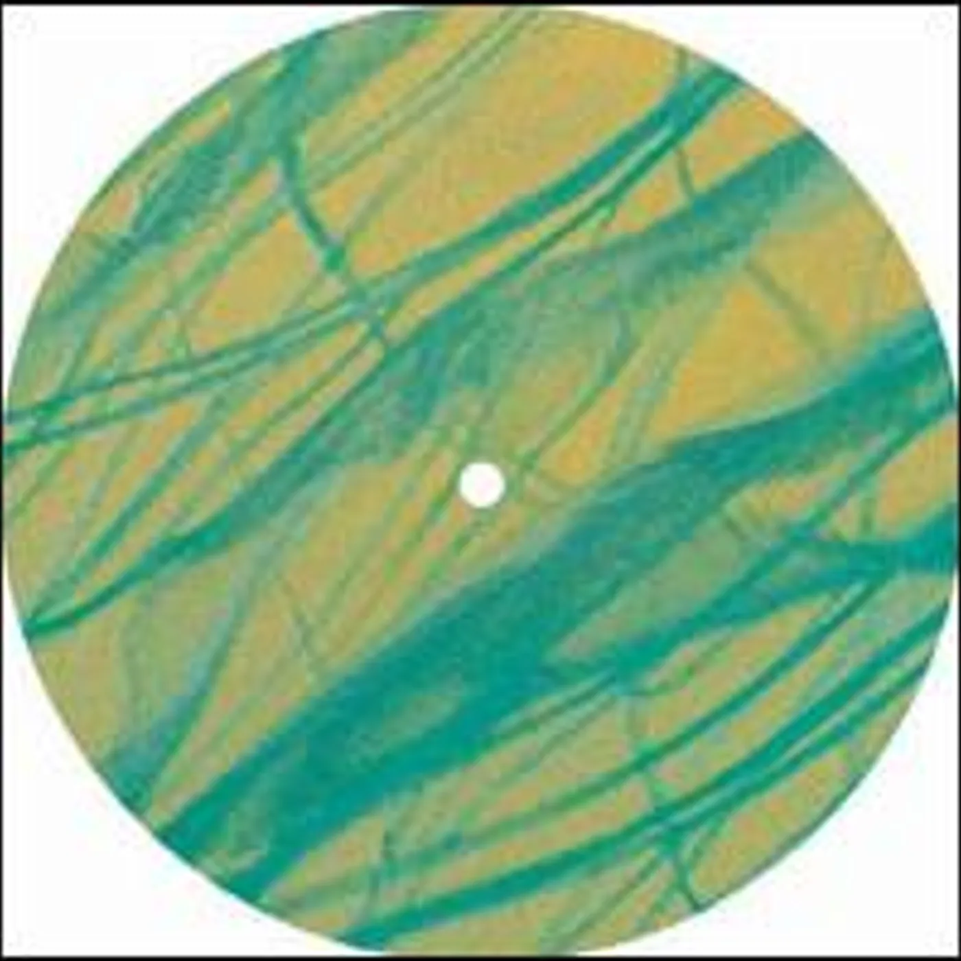 Fluxion Traces EP 2/3 Vinyl Record