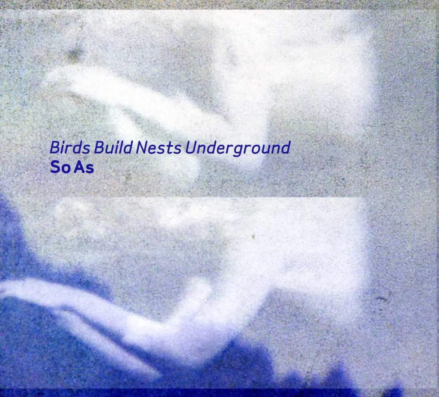 Birds Build Nests Underground