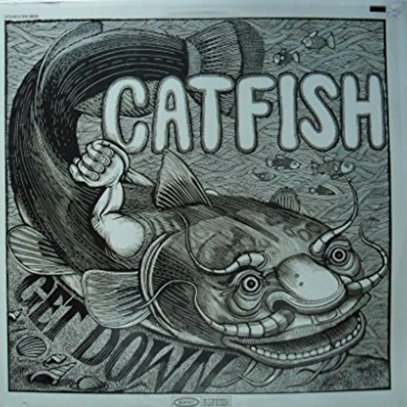Catfish Get Down Vinyl Record