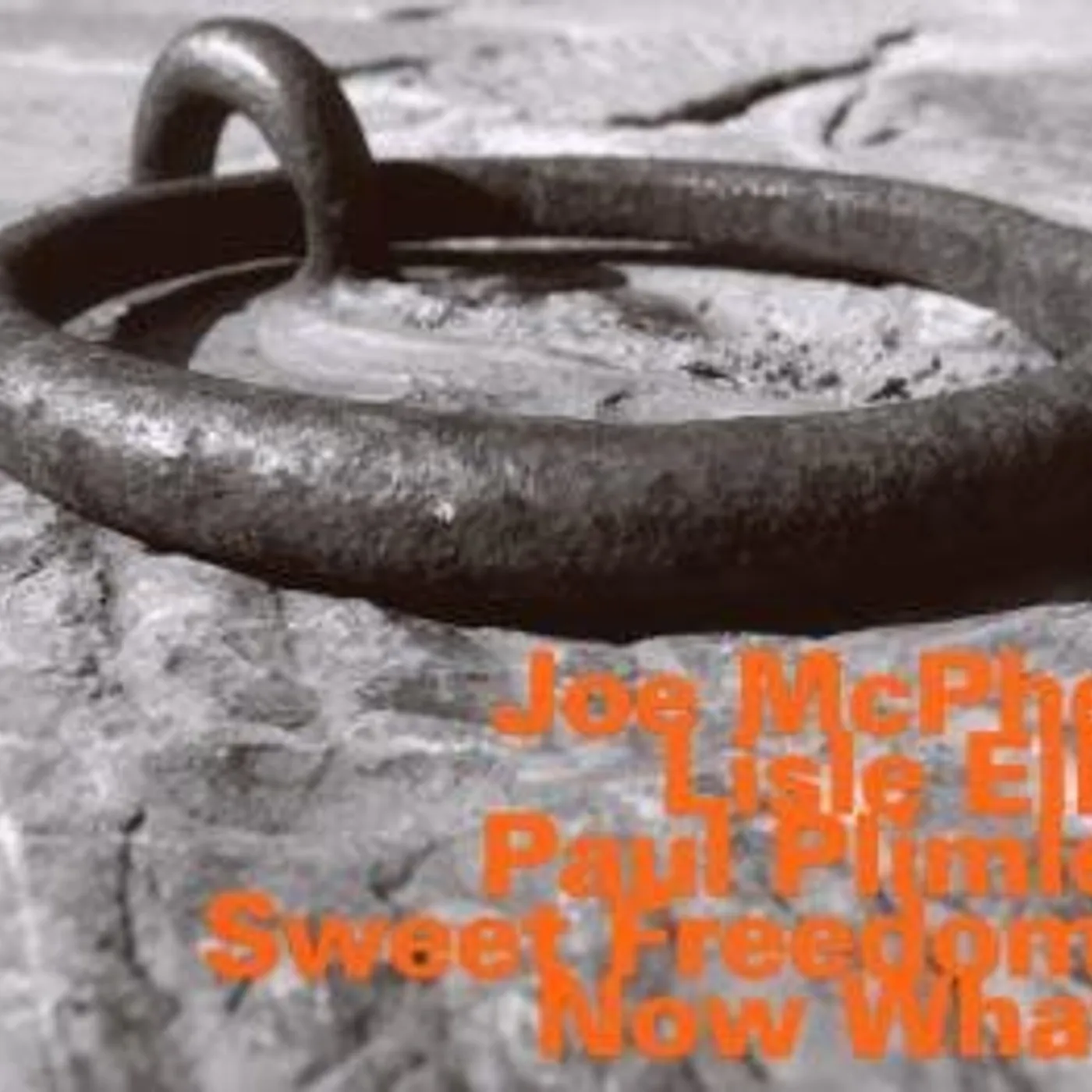 Joe Mcphee NOW WHAT CD
