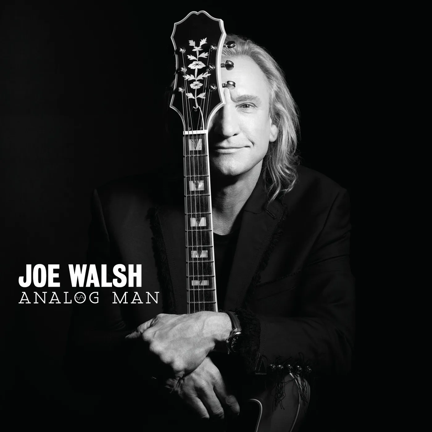 Joe Walsh ANALOG MAN CD
