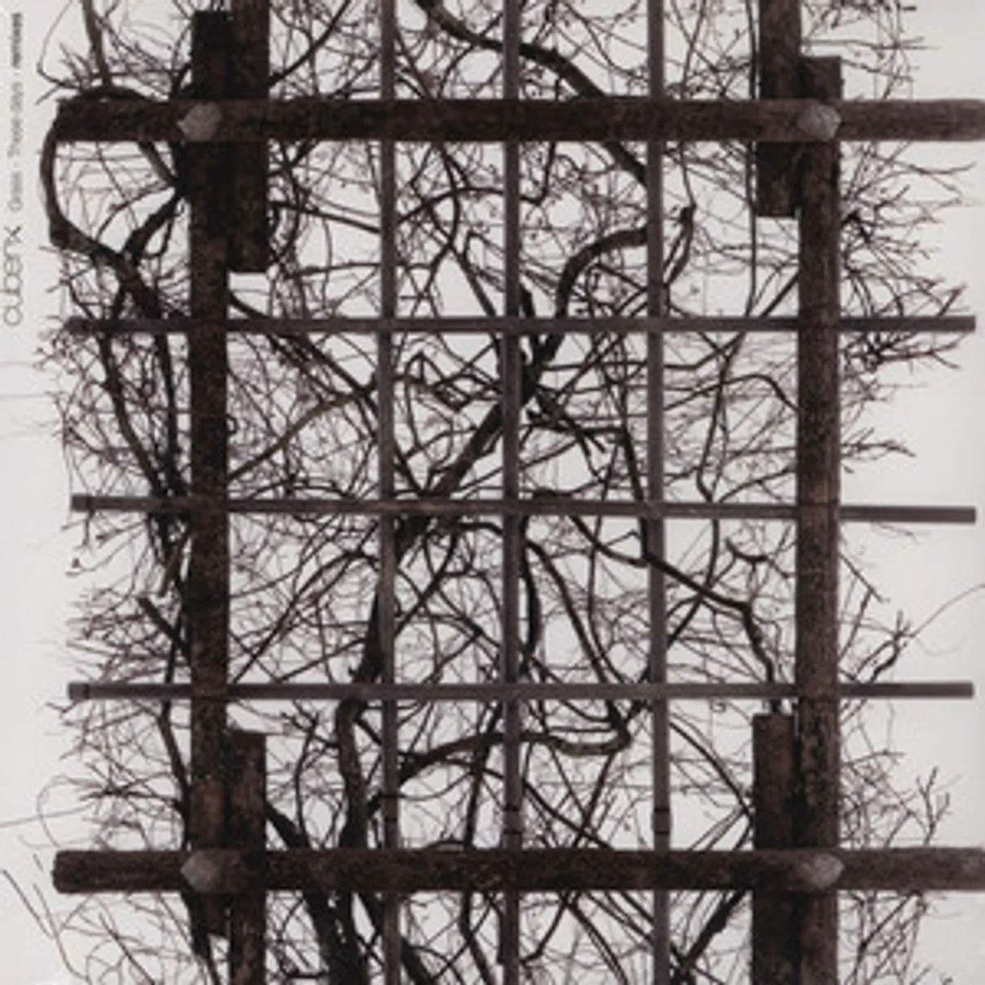 Cubenx GRASS / THESE DAYS REMIXES Vinyl Record