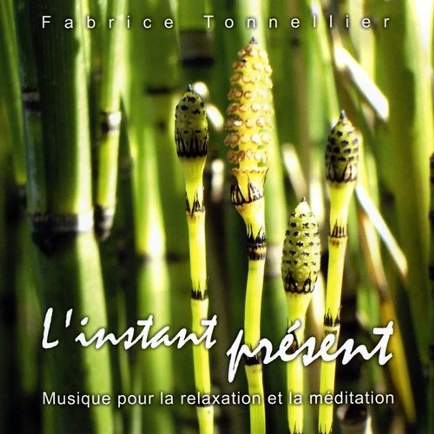 Fabrice Tonnellier L'INSTANT PRESENT / HERE AND NOW CD