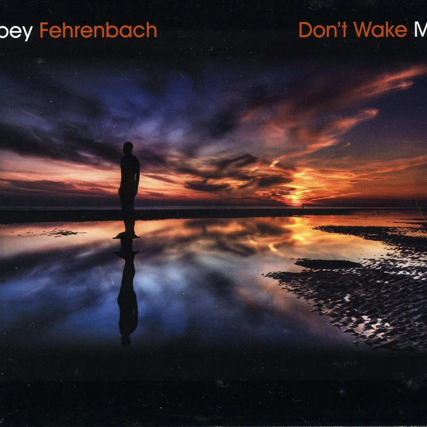 Joey Fehrenbach DON'T WAKE ME CD