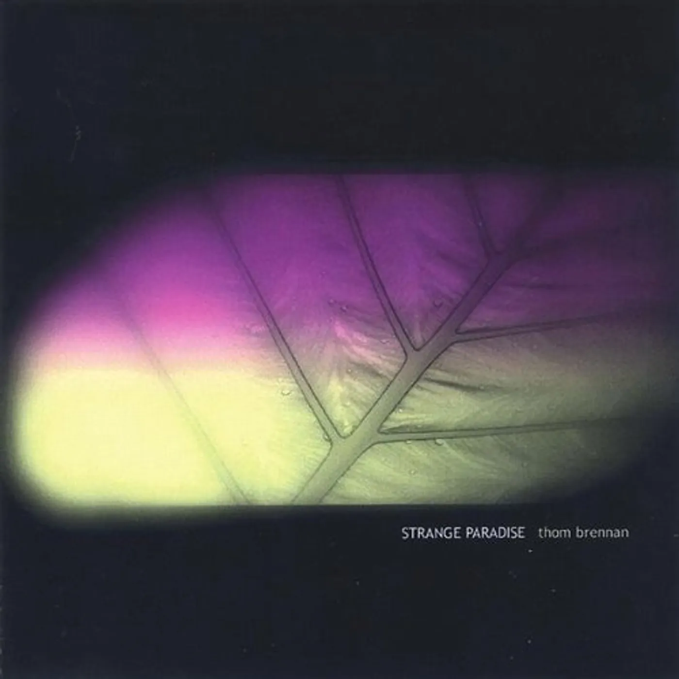 Thom Brennan STRANGE PARADISE CD