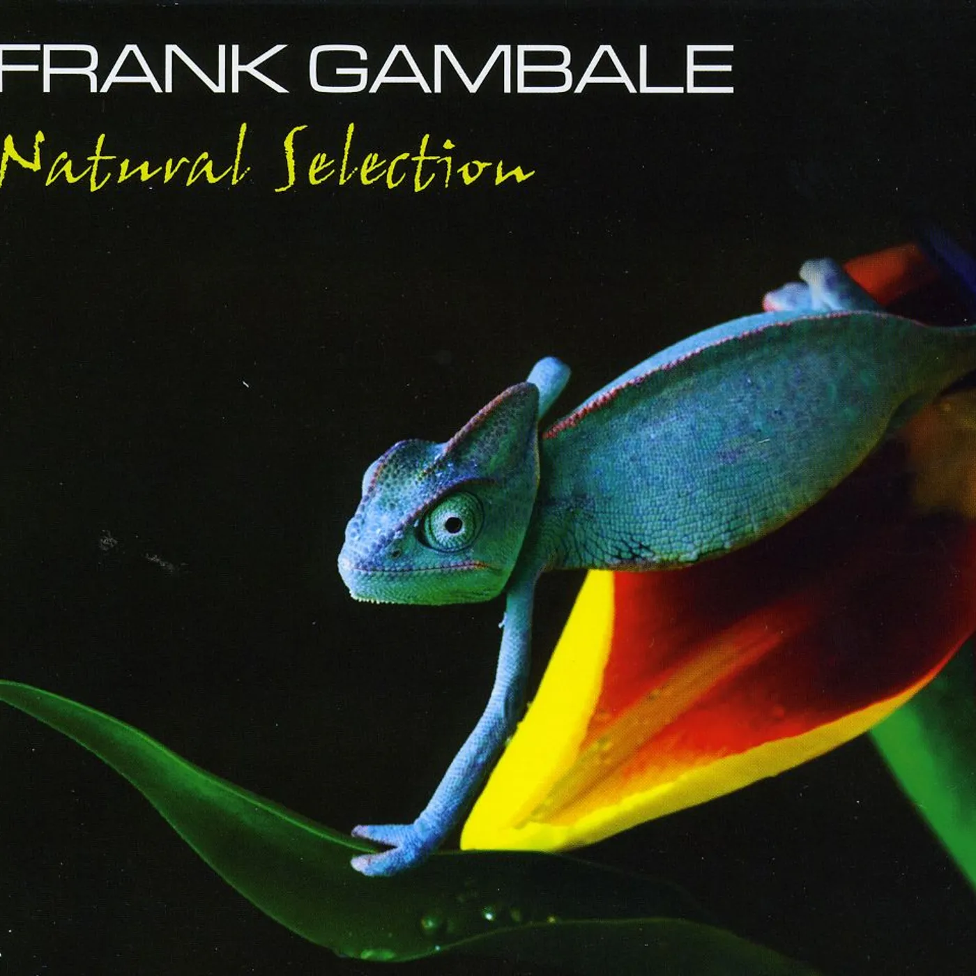 Frank Gambale NATURAL SELECTION CD