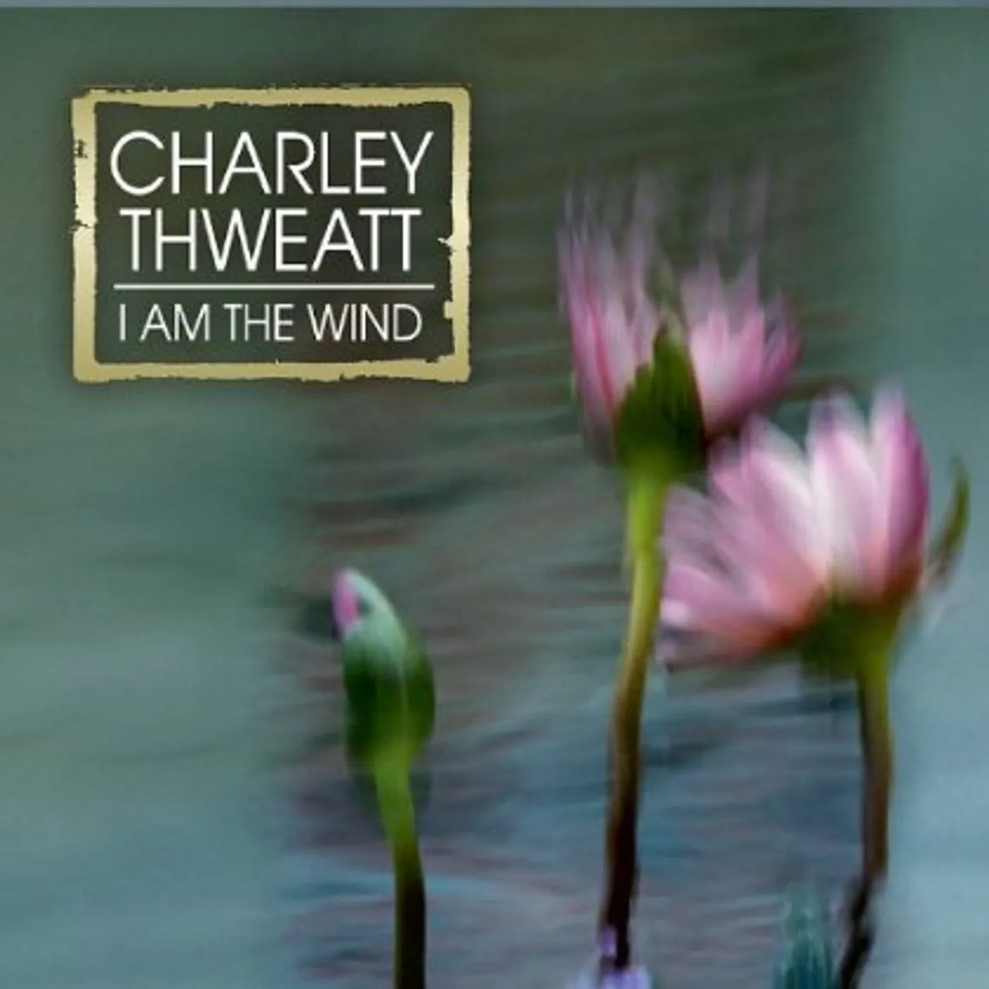 Charley Thweatt I AM THE WIND CD