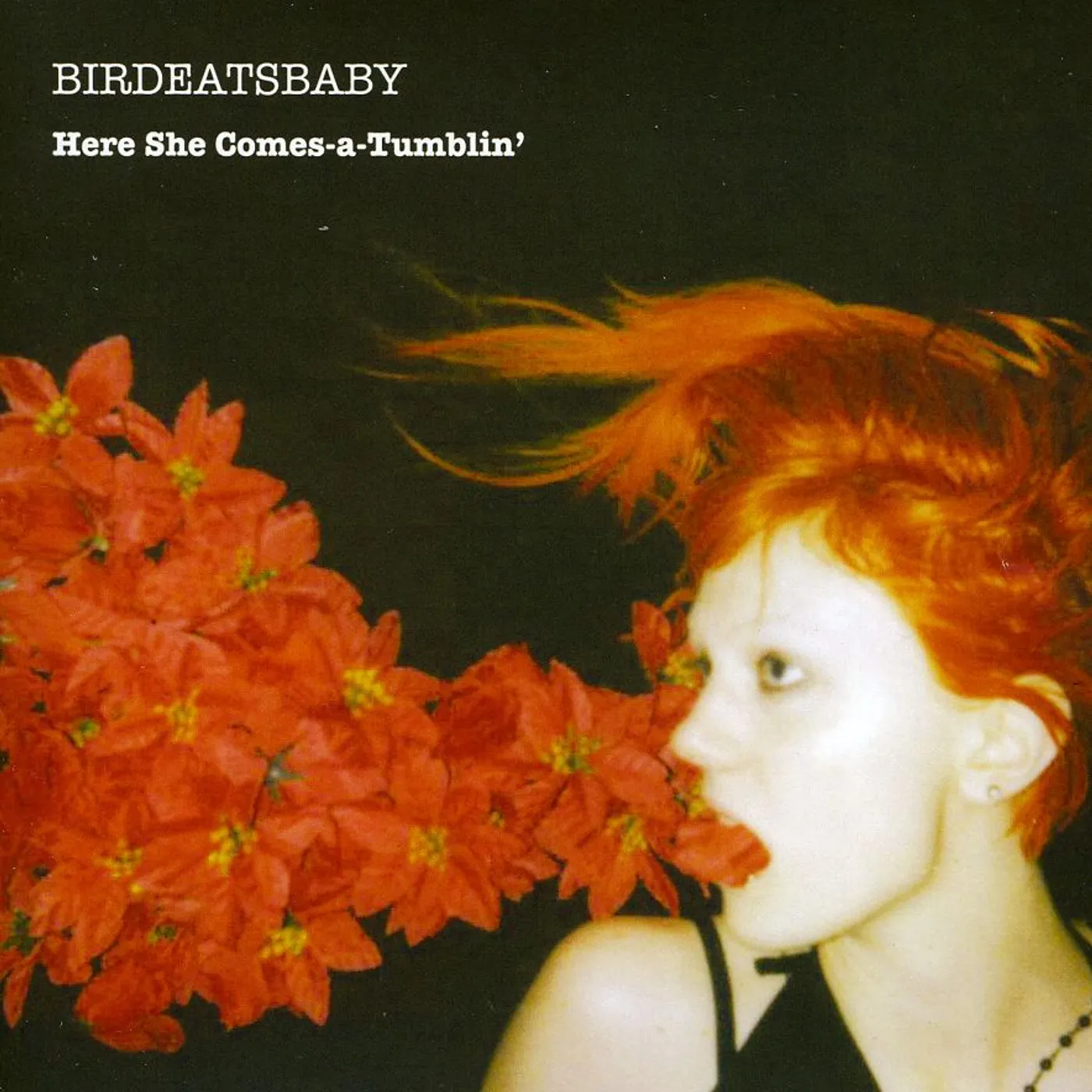 Birdeatsbaby HERE SHE COMES A TUMBLIN CD
