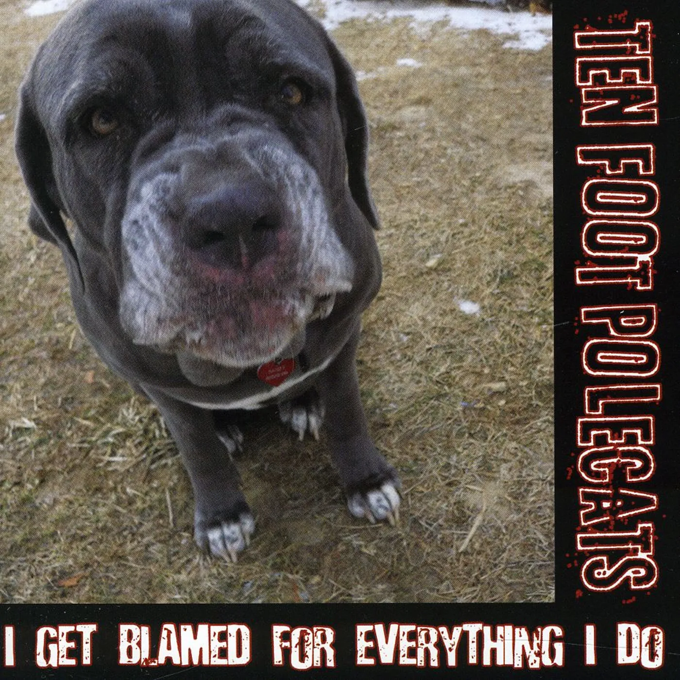Ten Foot Polecats I GET BLAMED FOR EVERYTHING I DO CD