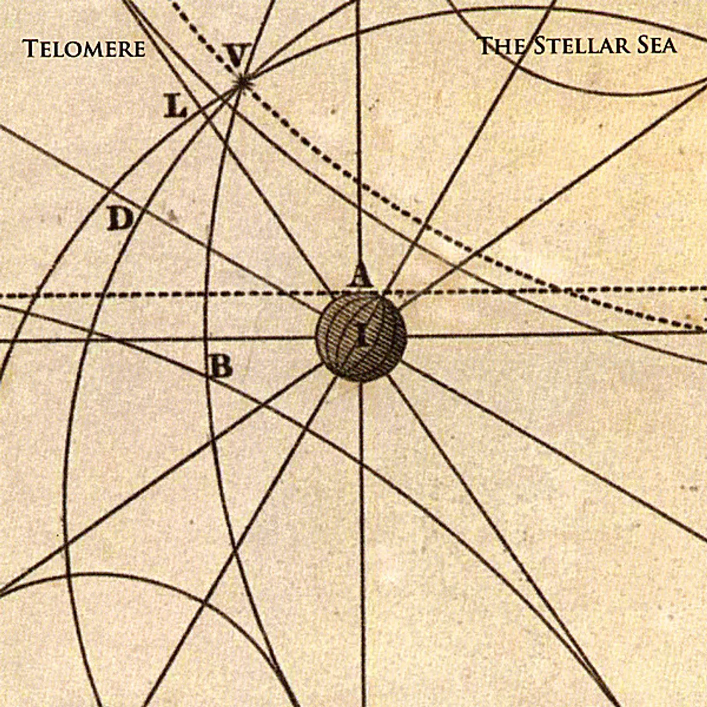 Telomere THE STELLAR SEA CD