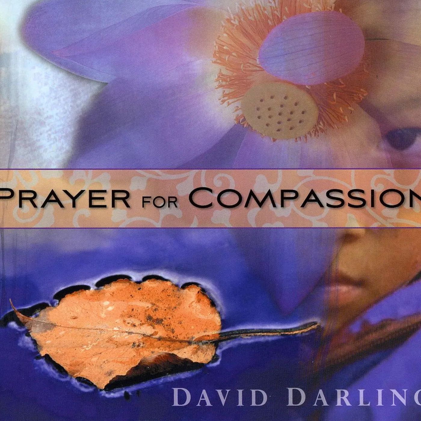 David Darling PRAYER FOR COMPASSION CD