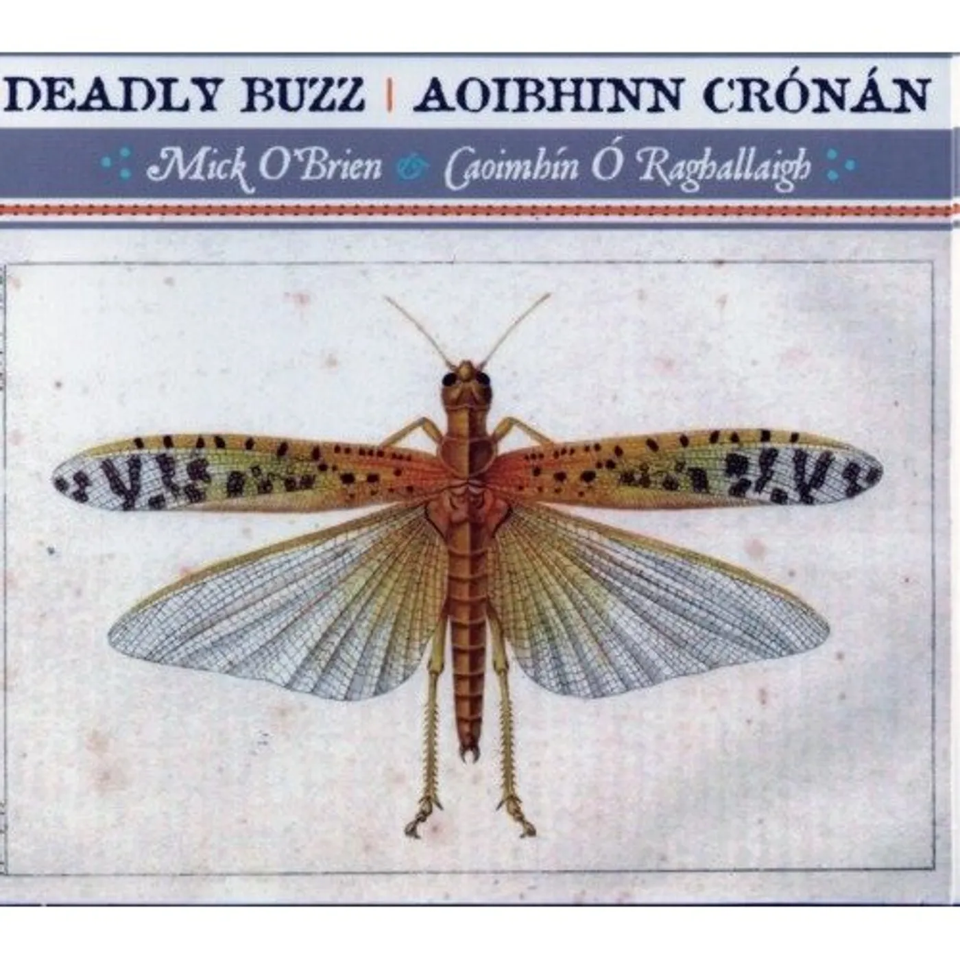 Mick O'Brien DEADLY BUZZ / AOIBHINN CRONAN CD