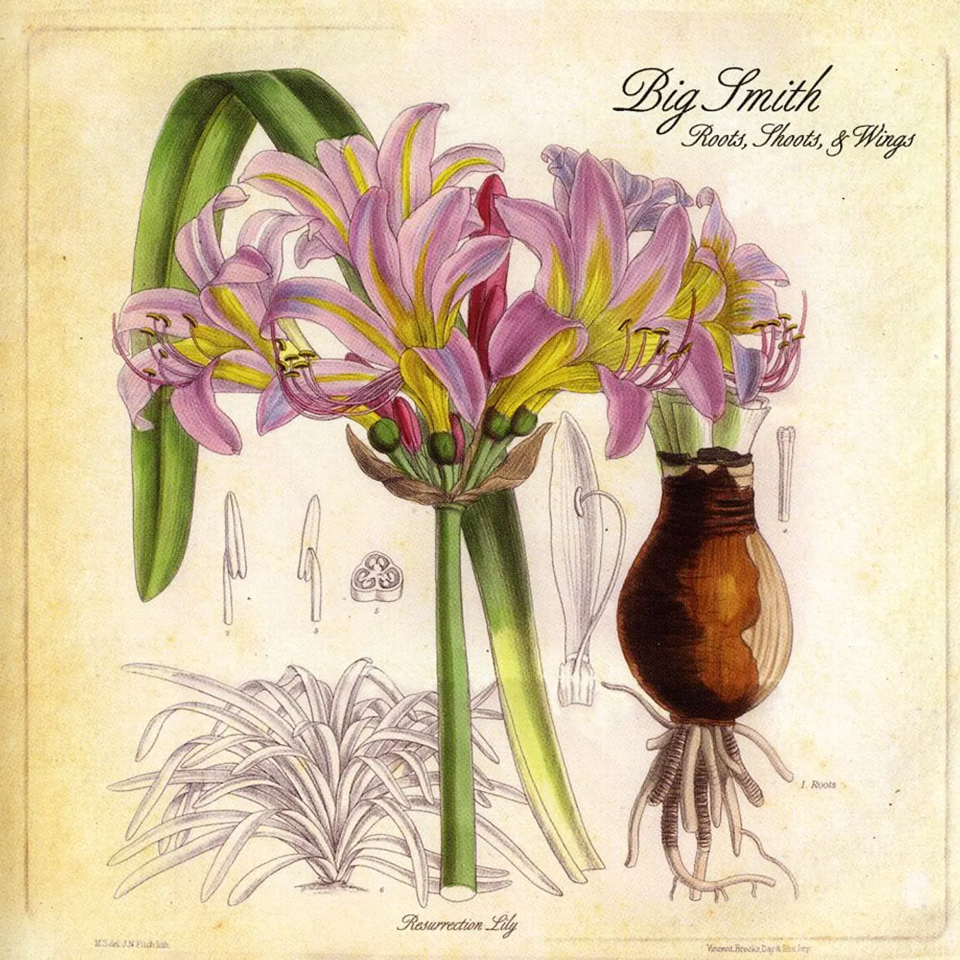 Big Smith ROOTS SHOOTS & WINGS CD