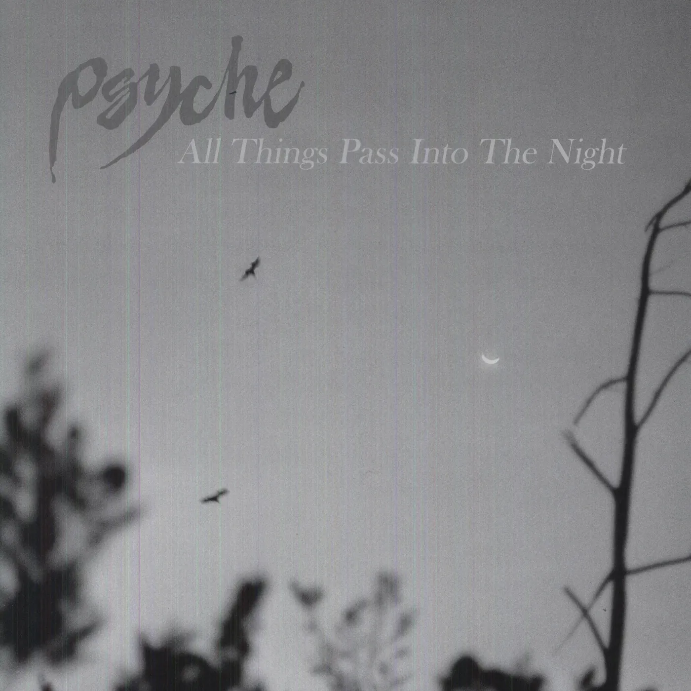 Psyche All Things Pass into the Night Vinyl Record
