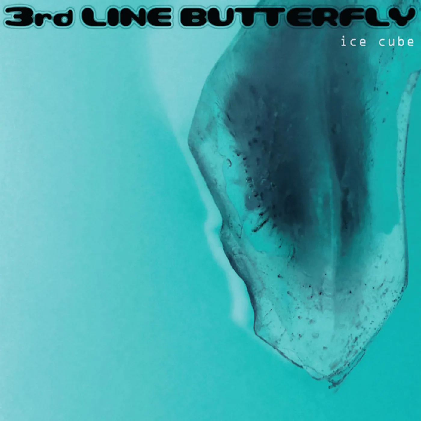 3rd Line Butterfly ICE CUBE CD