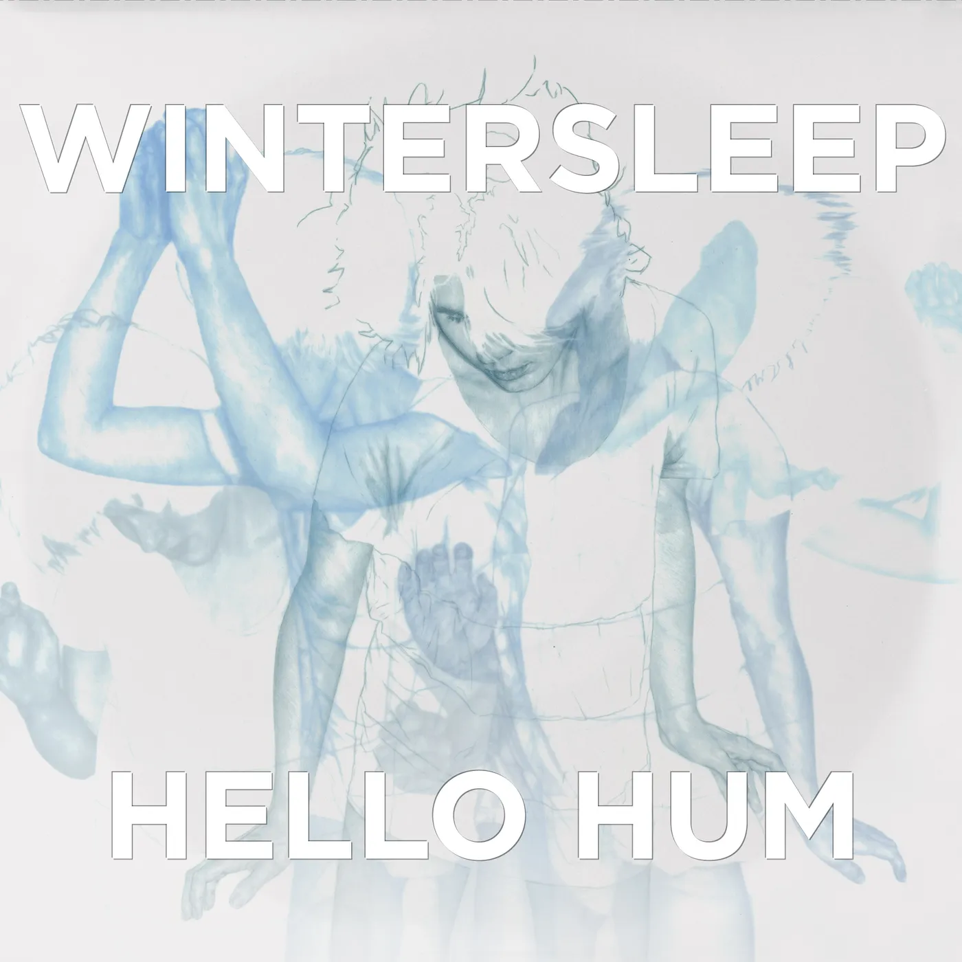Wintersleep HELLO HUM CD
