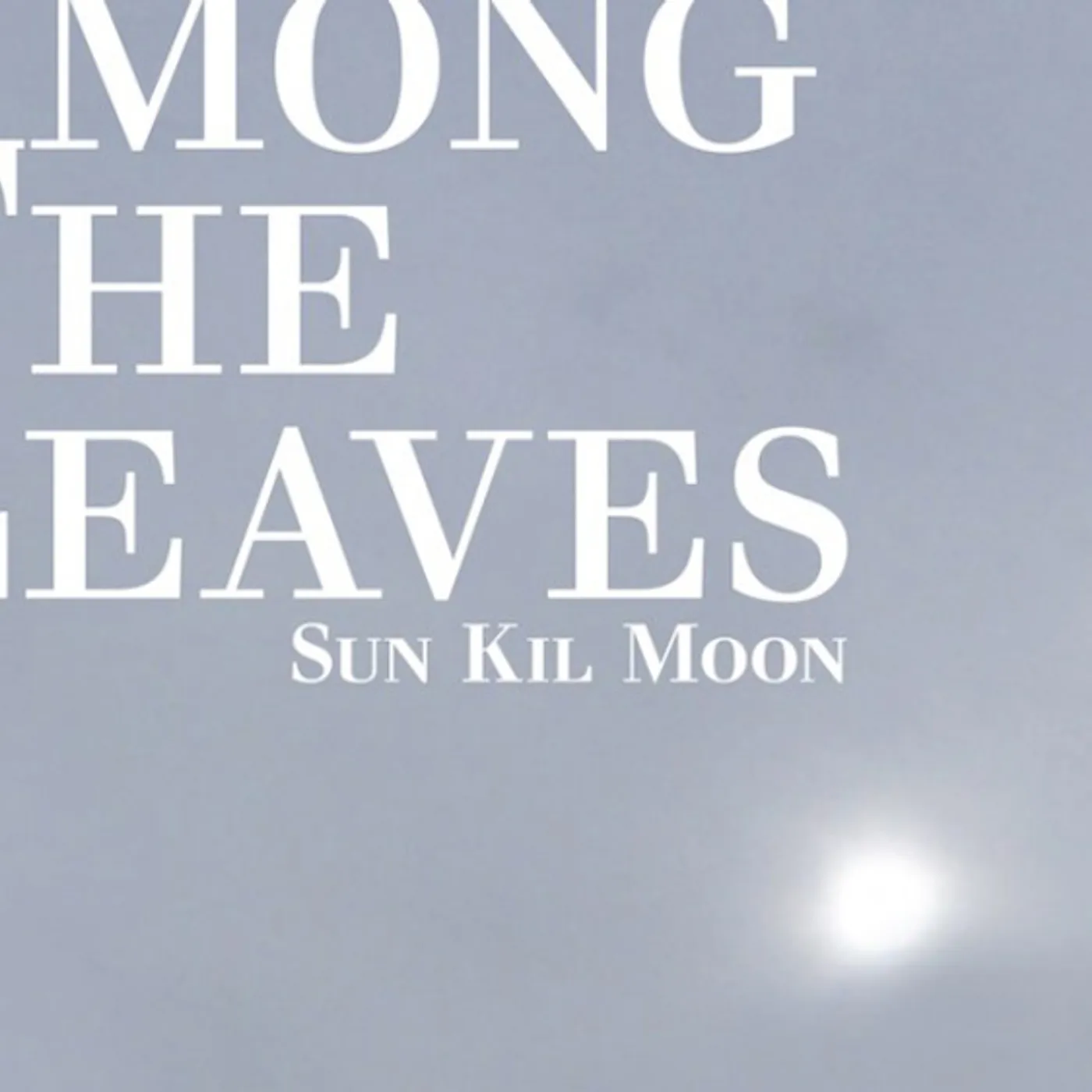 Sun Kil Moon AMONG THE LEAVES CD