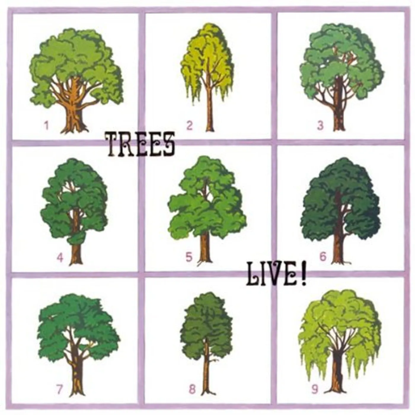 Trees LIVE Vinyl Record