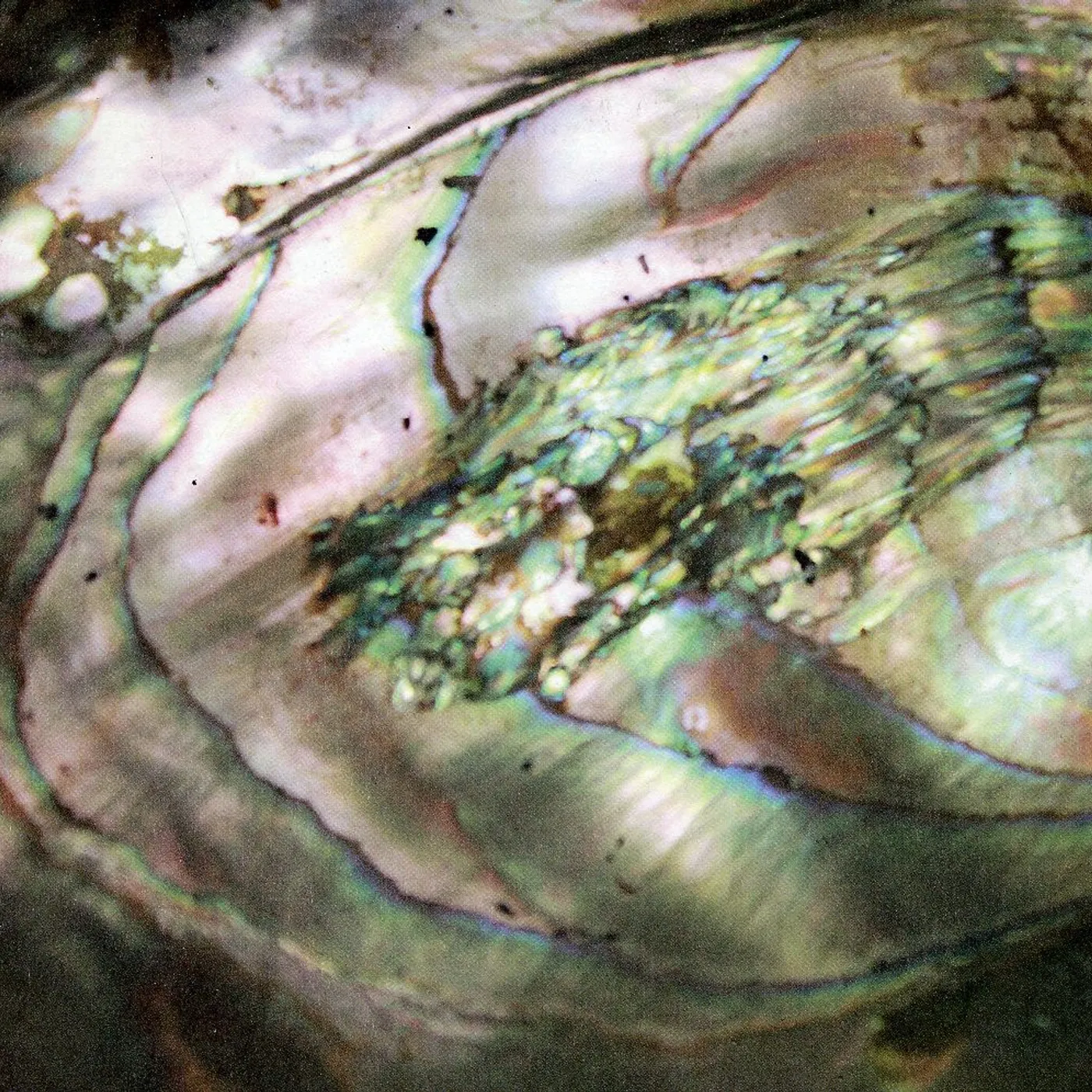 Tasseomancy ULALUME CD