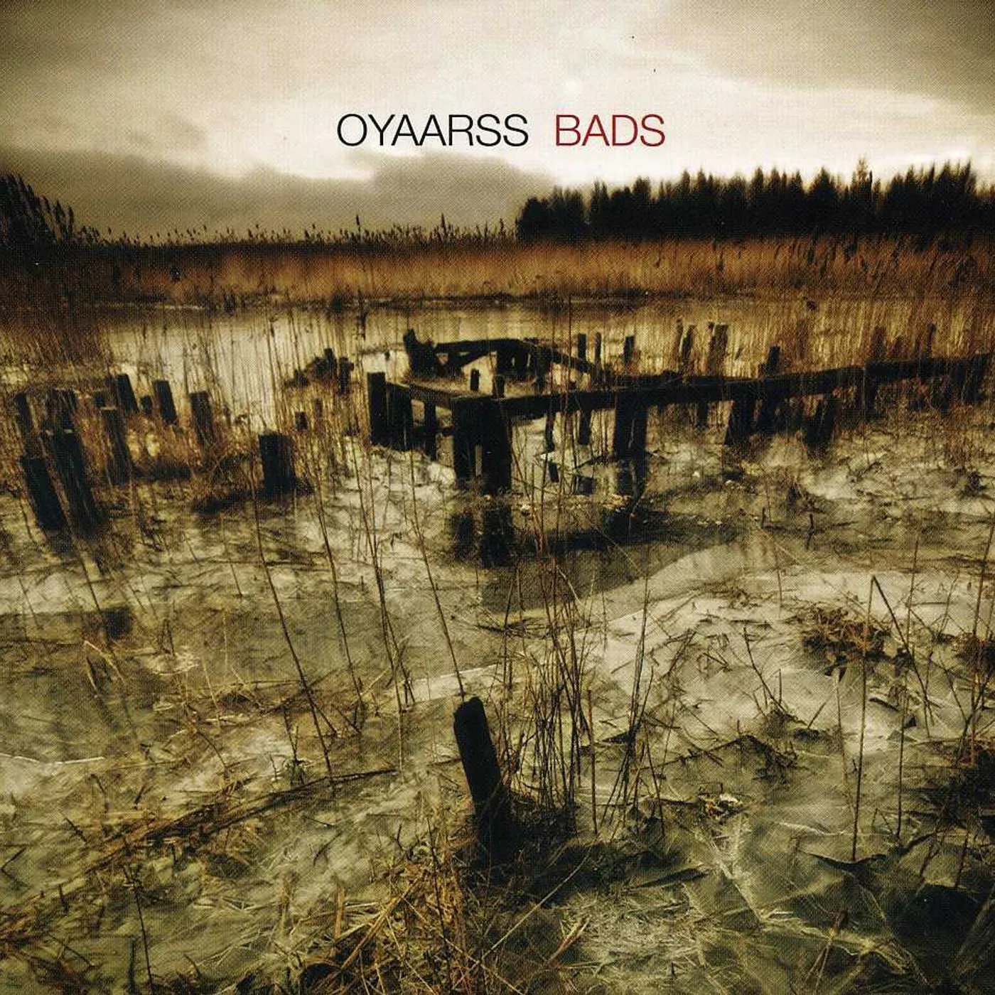 Oyaarss BADS CD