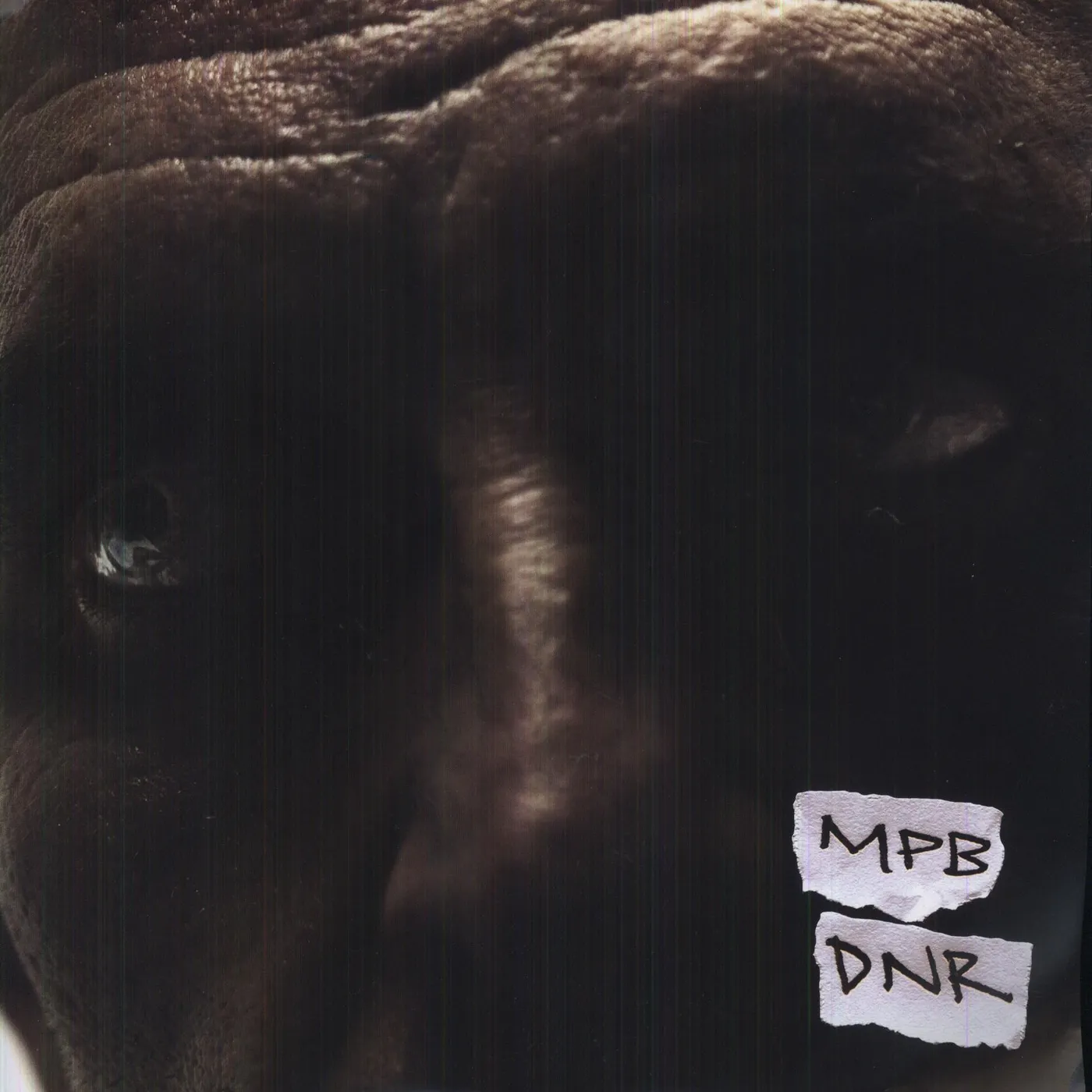 Most Precious Blood Do Not Resuscitate Vinyl Record