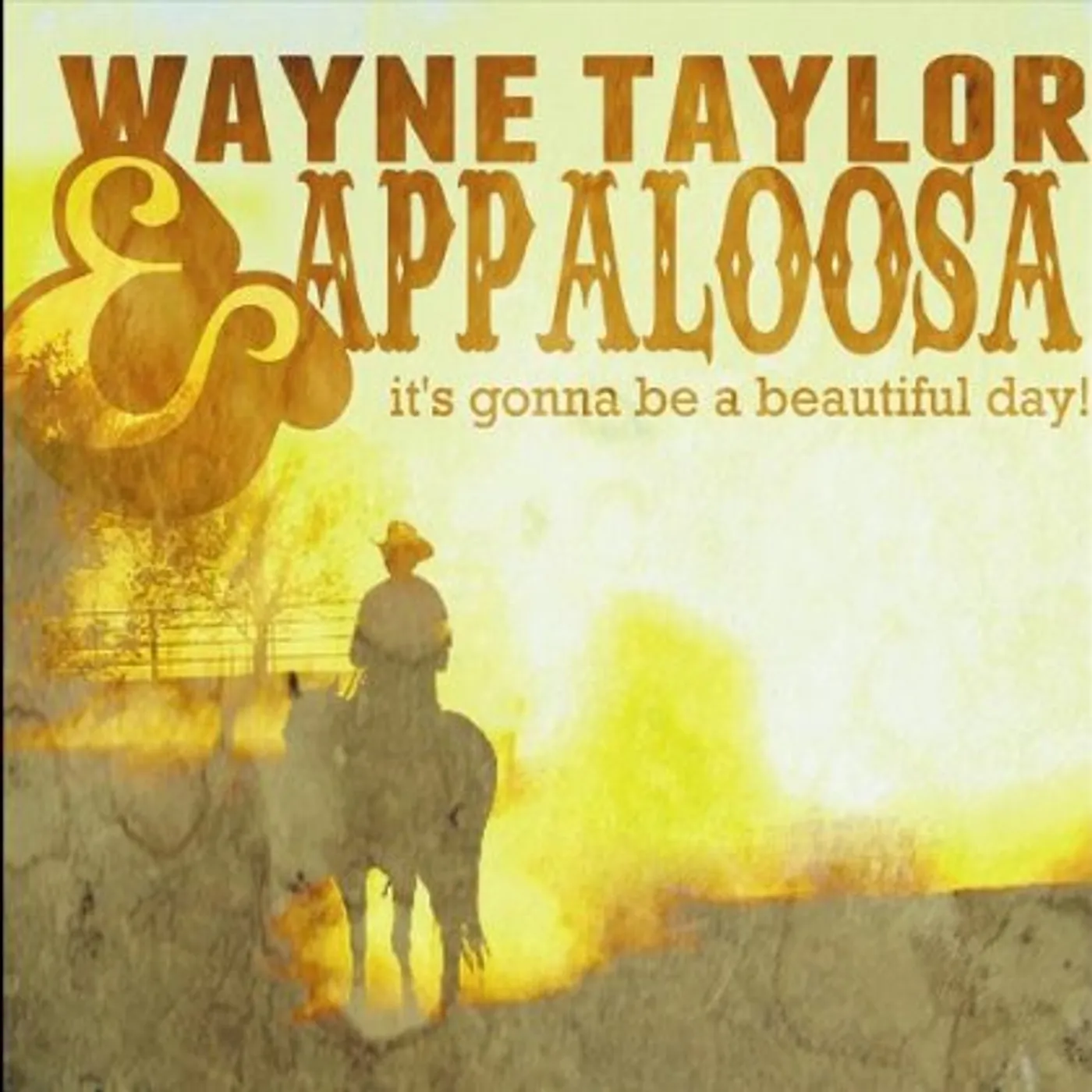 Wayne Taylor IT'S GONNA BE A BEAUTIFUL DAY CD