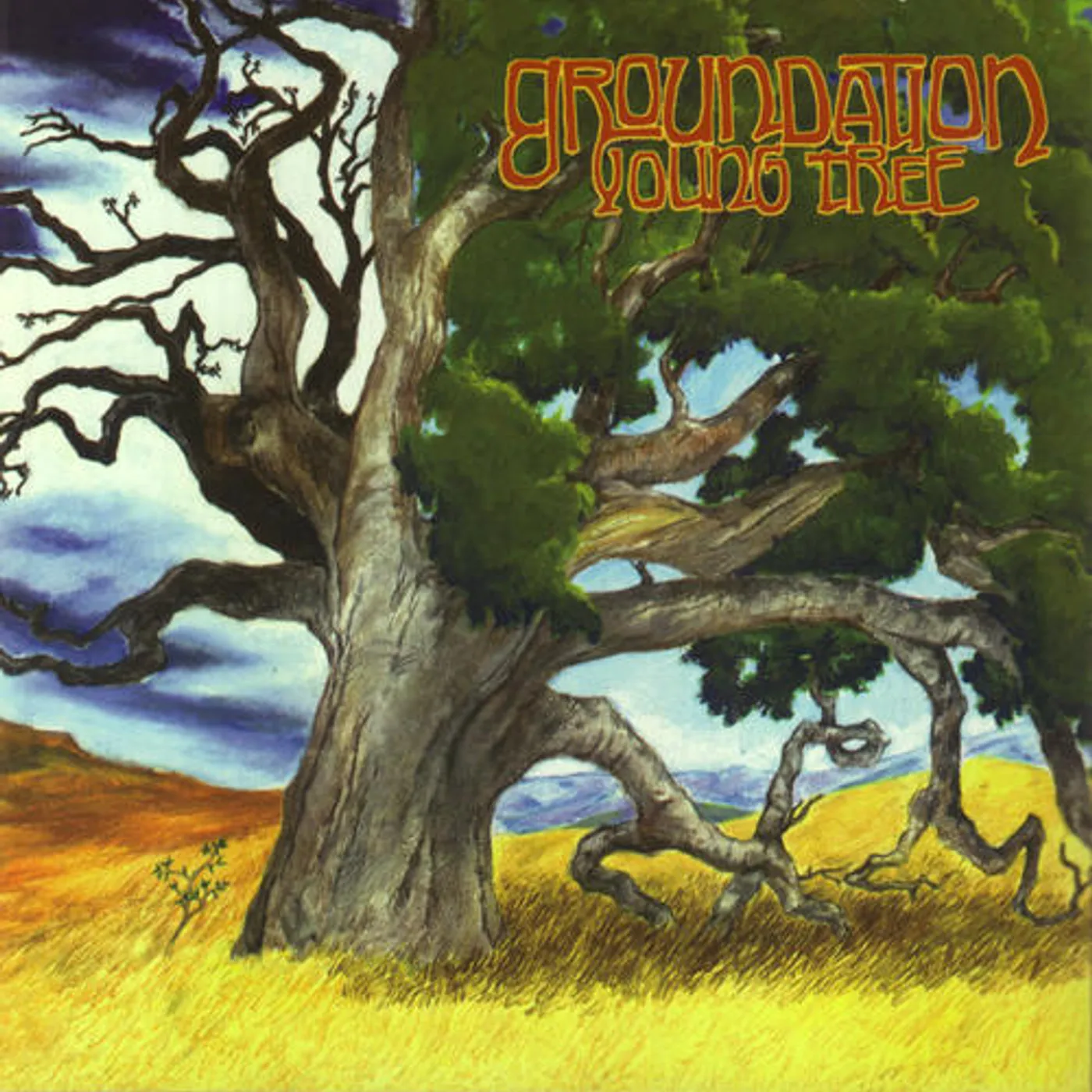Groundation YOUNG TREE CD