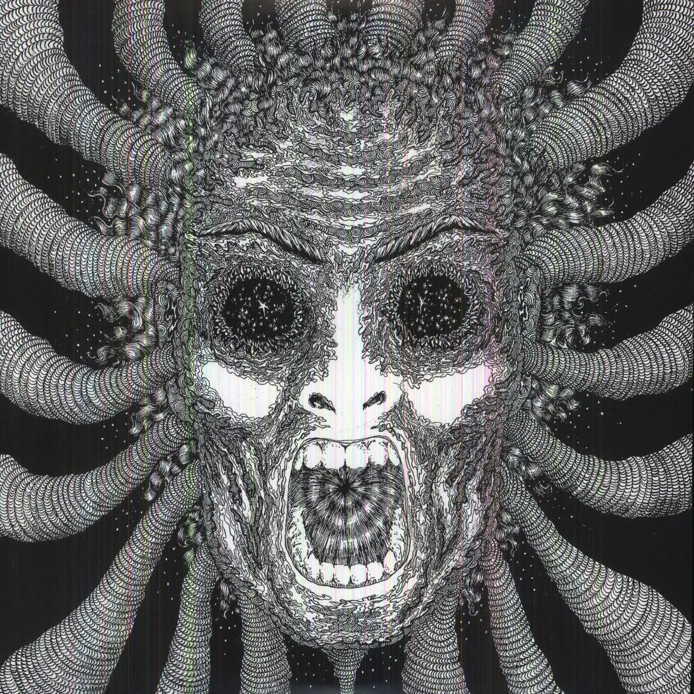 Ty Segall Slaughterhouse Vinyl Record