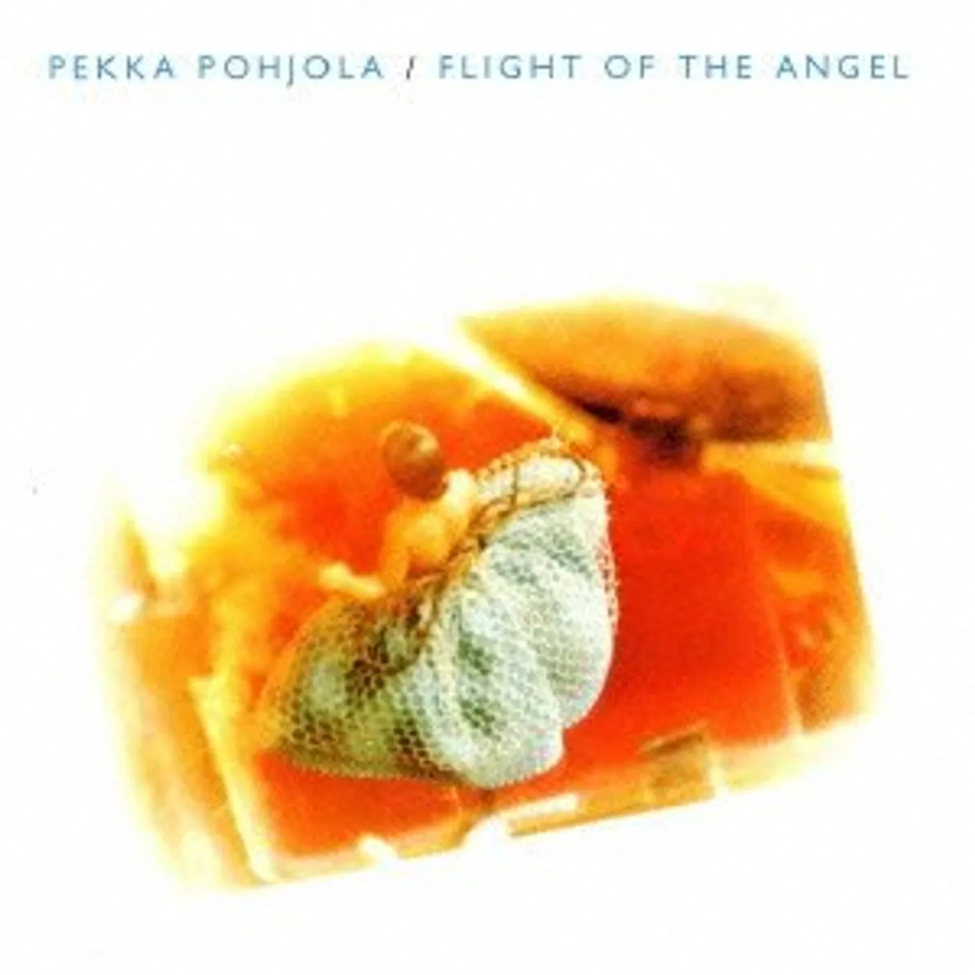 Pekka Pohjola FLIGHT OF THE ANGEL CD