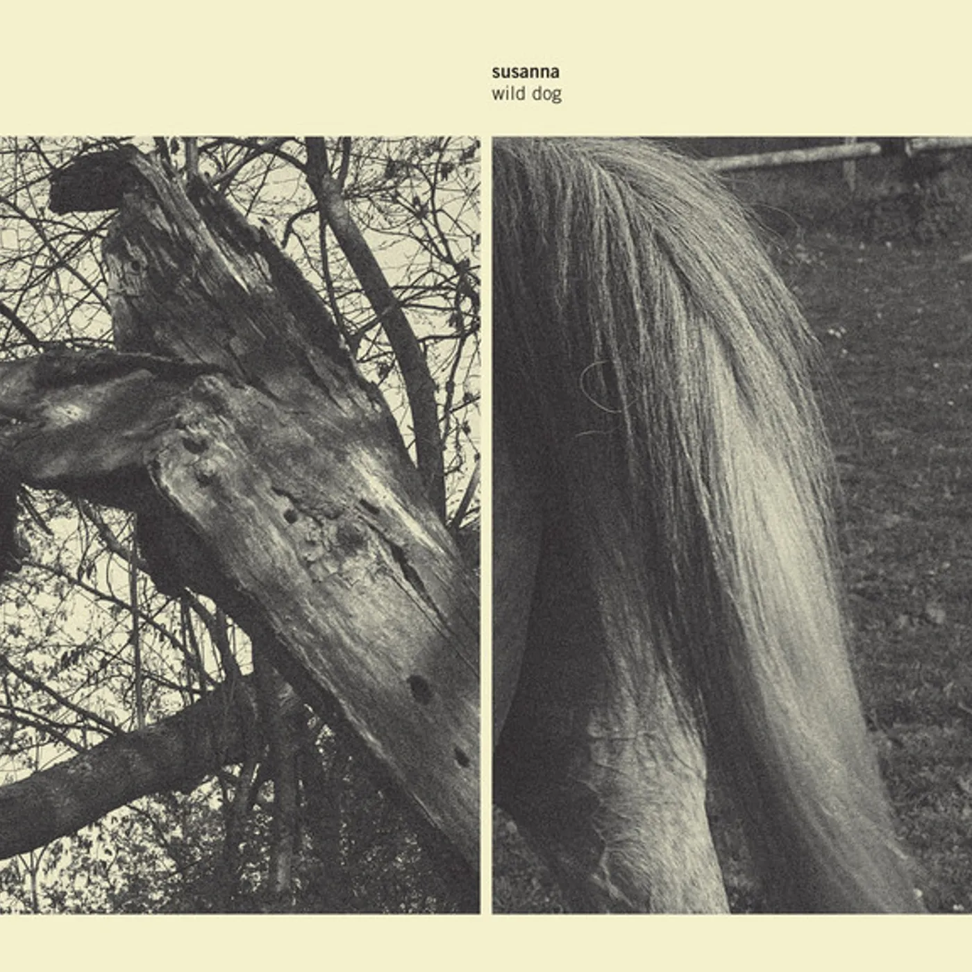 Susanna Wild Dog Vinyl Record