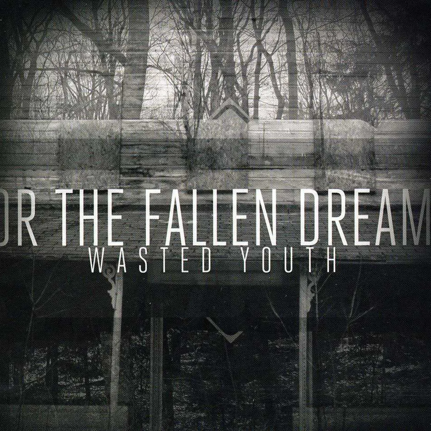 For The Fallen Dreams WASTED YOUTH CD