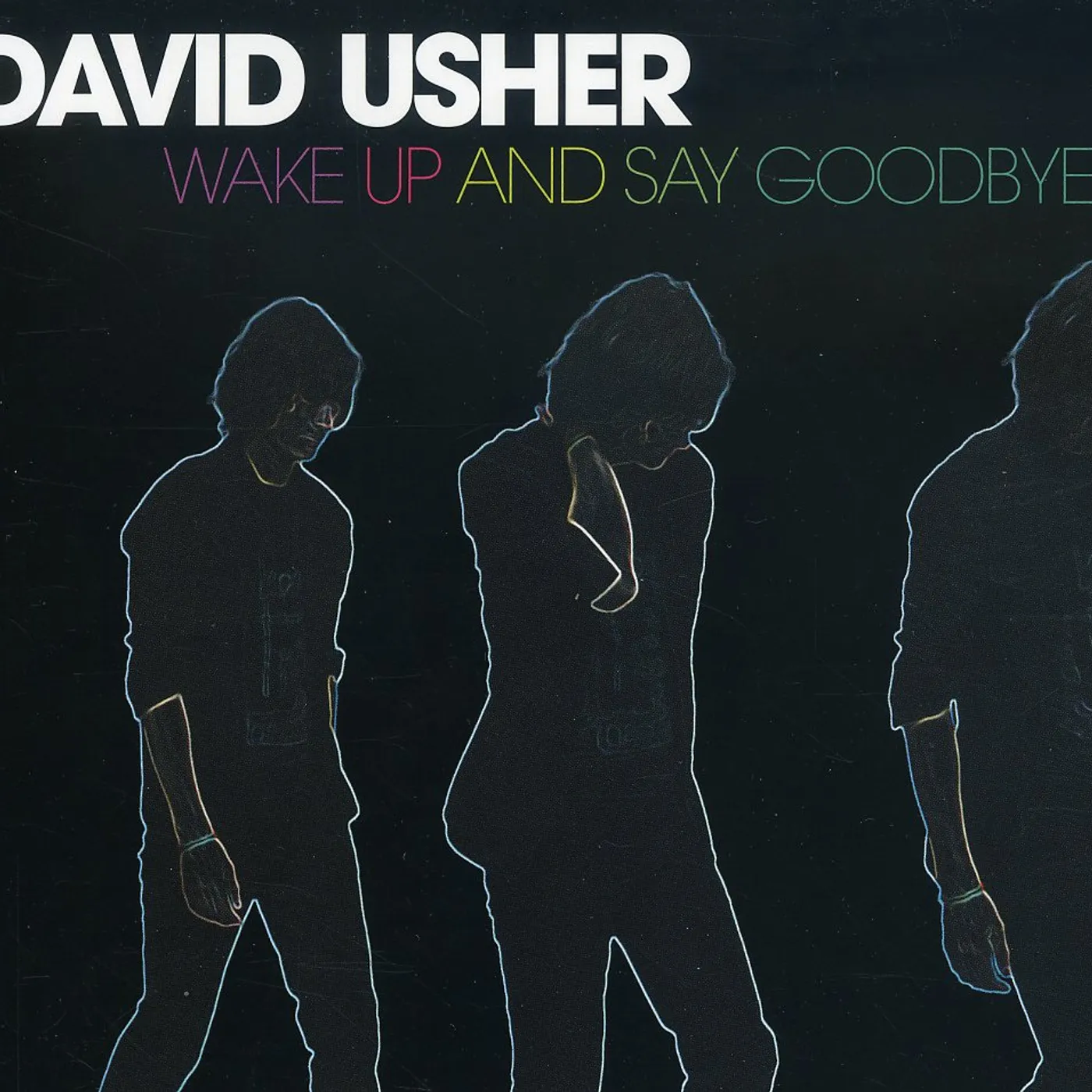 David Usher WAKE UP & SAY GOODBYE CD