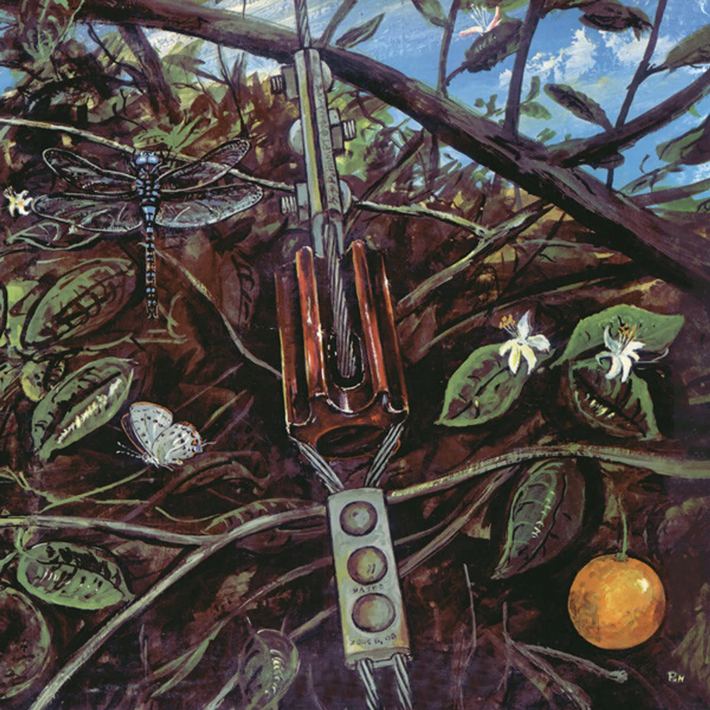 Dragonfly Vinyl Record