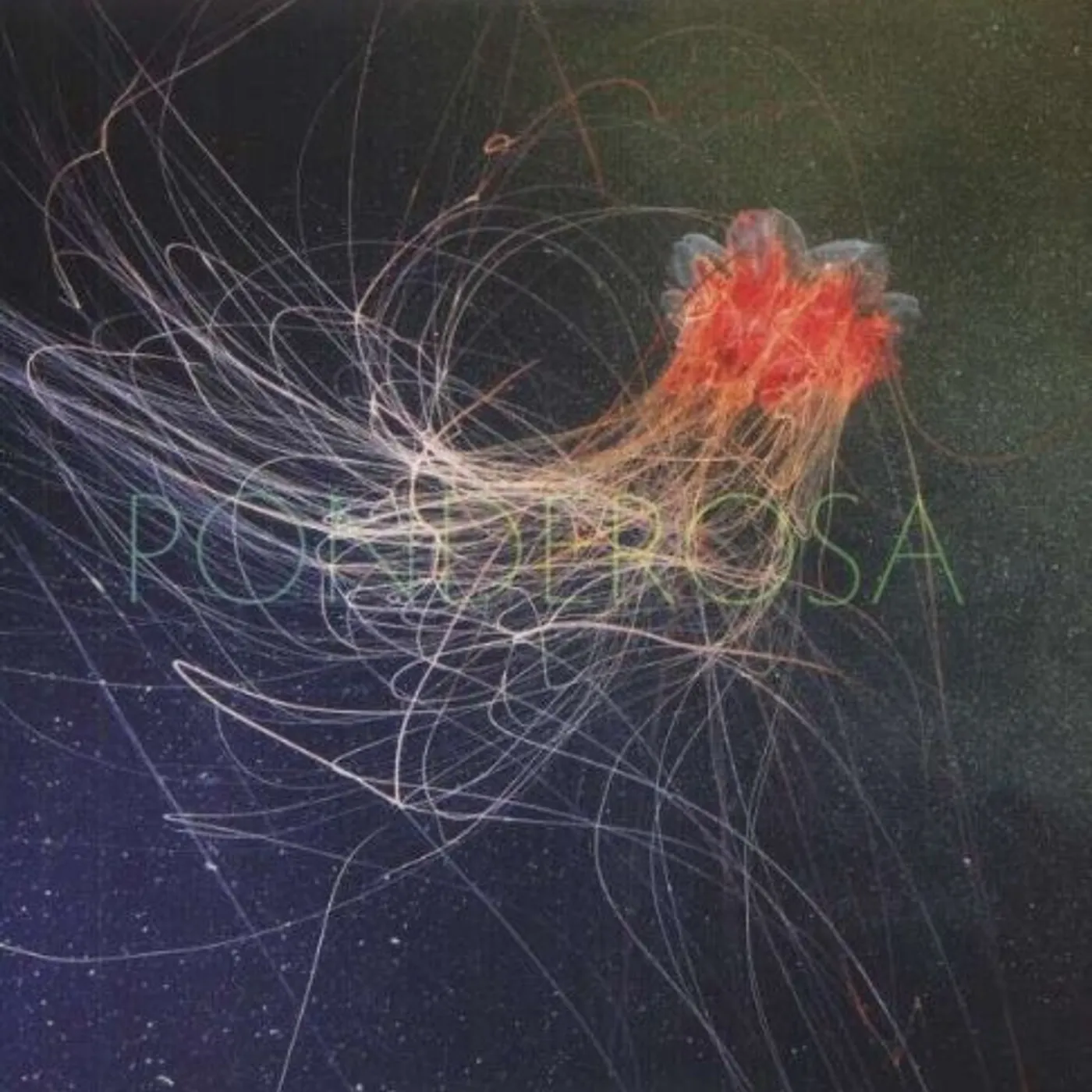 Ponderosa Pool Party Vinyl Record