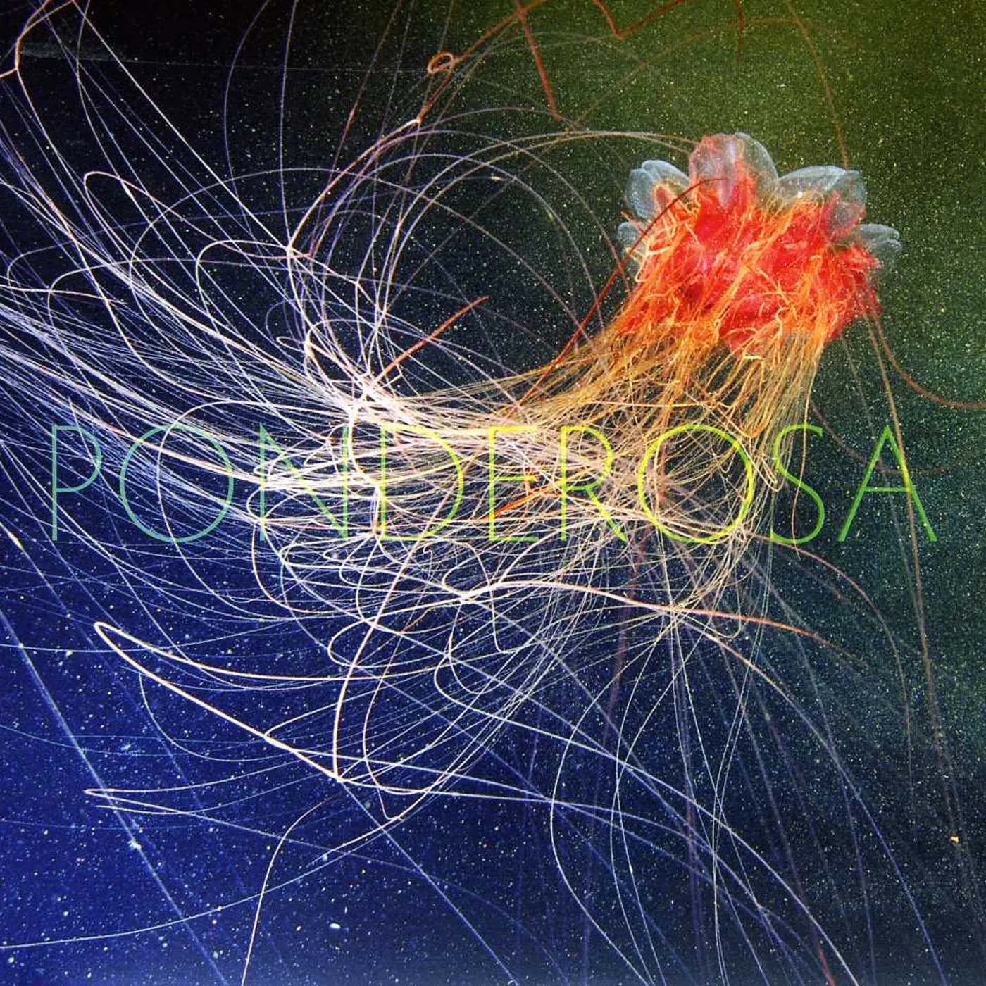 Ponderosa POOL PARTY CD