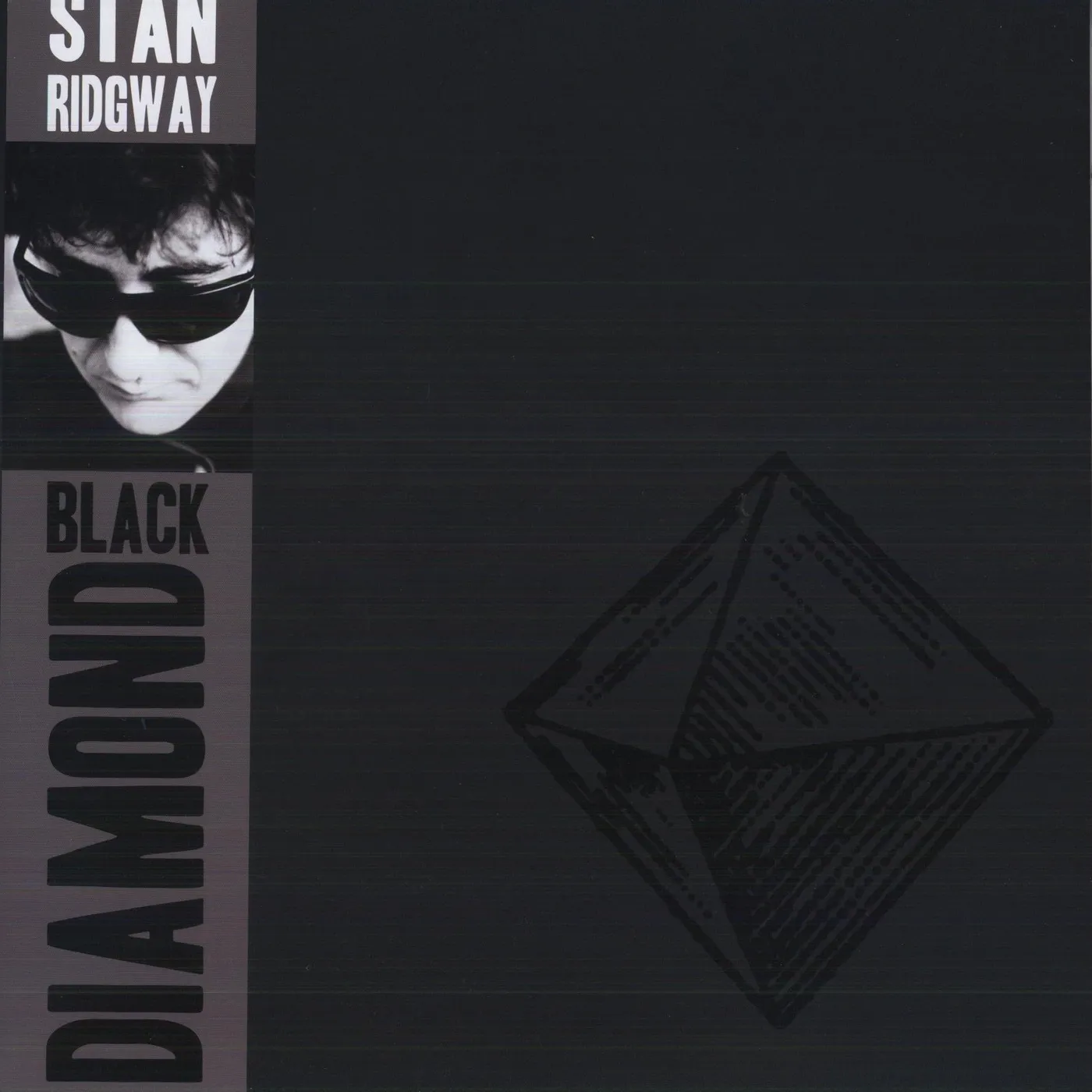 Stan Ridgway Black Diamond Vinyl Record