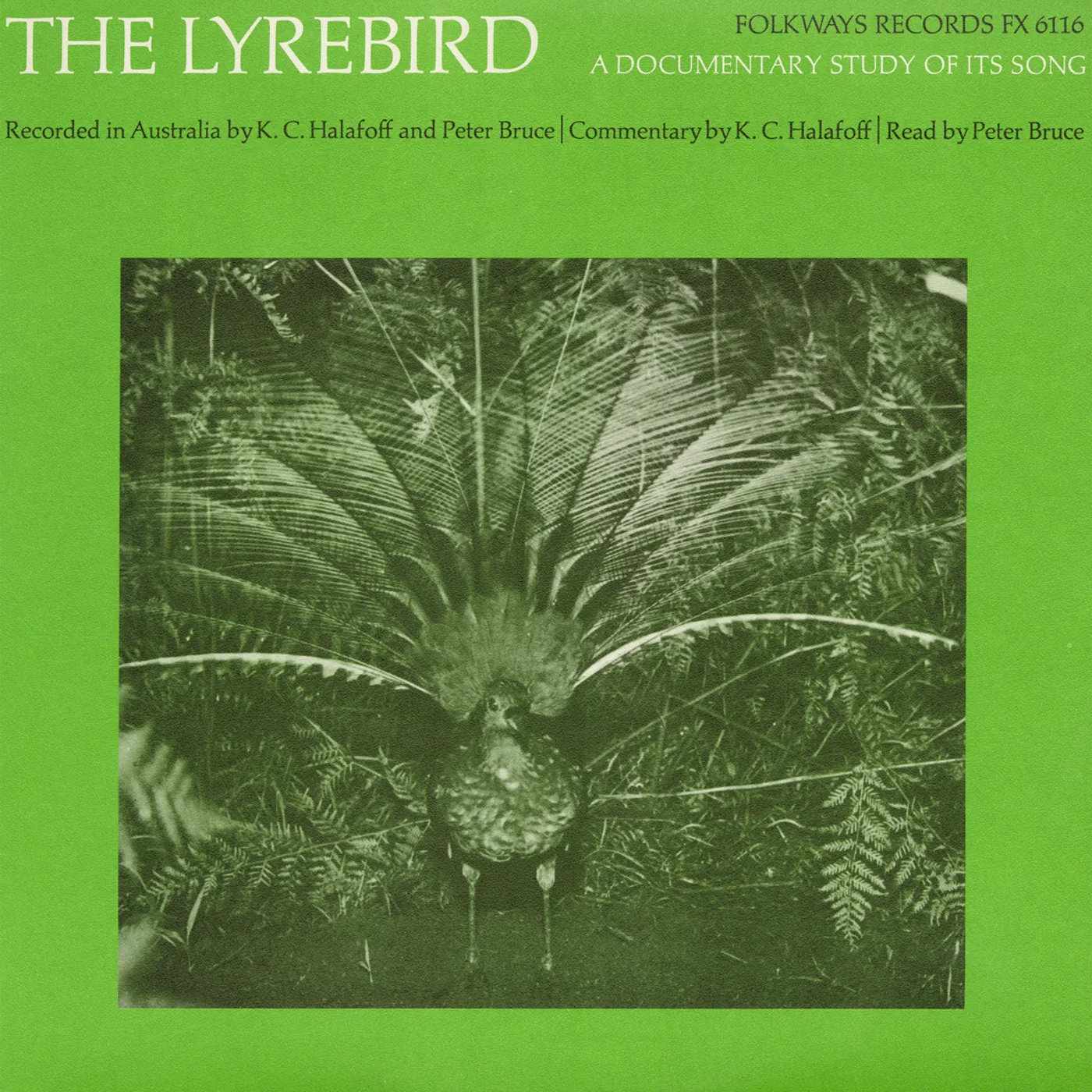 P. Bruce THE LYREBIRD: A DOCUMENTARY STUDY OF ITS SONG CD