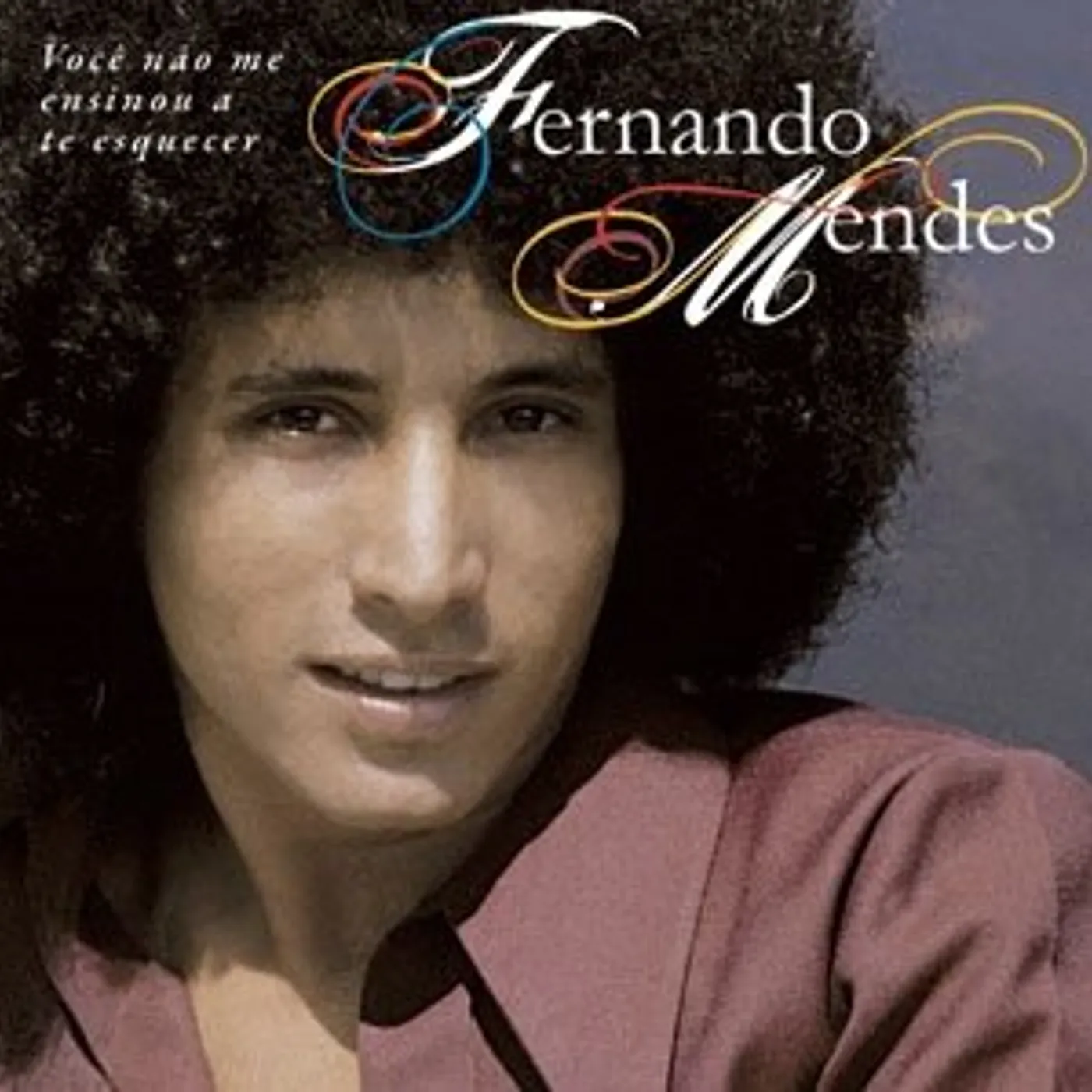 Fernando Mendes VC NAO ME ENSINOU A TE ESQUECER: BEST OF CD
