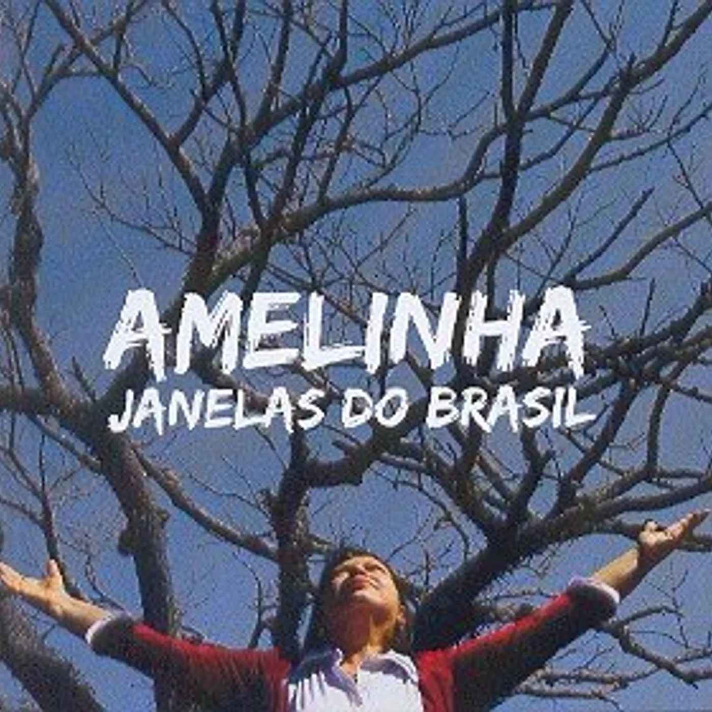 Amelinha JANELAS DO BRASIL CD