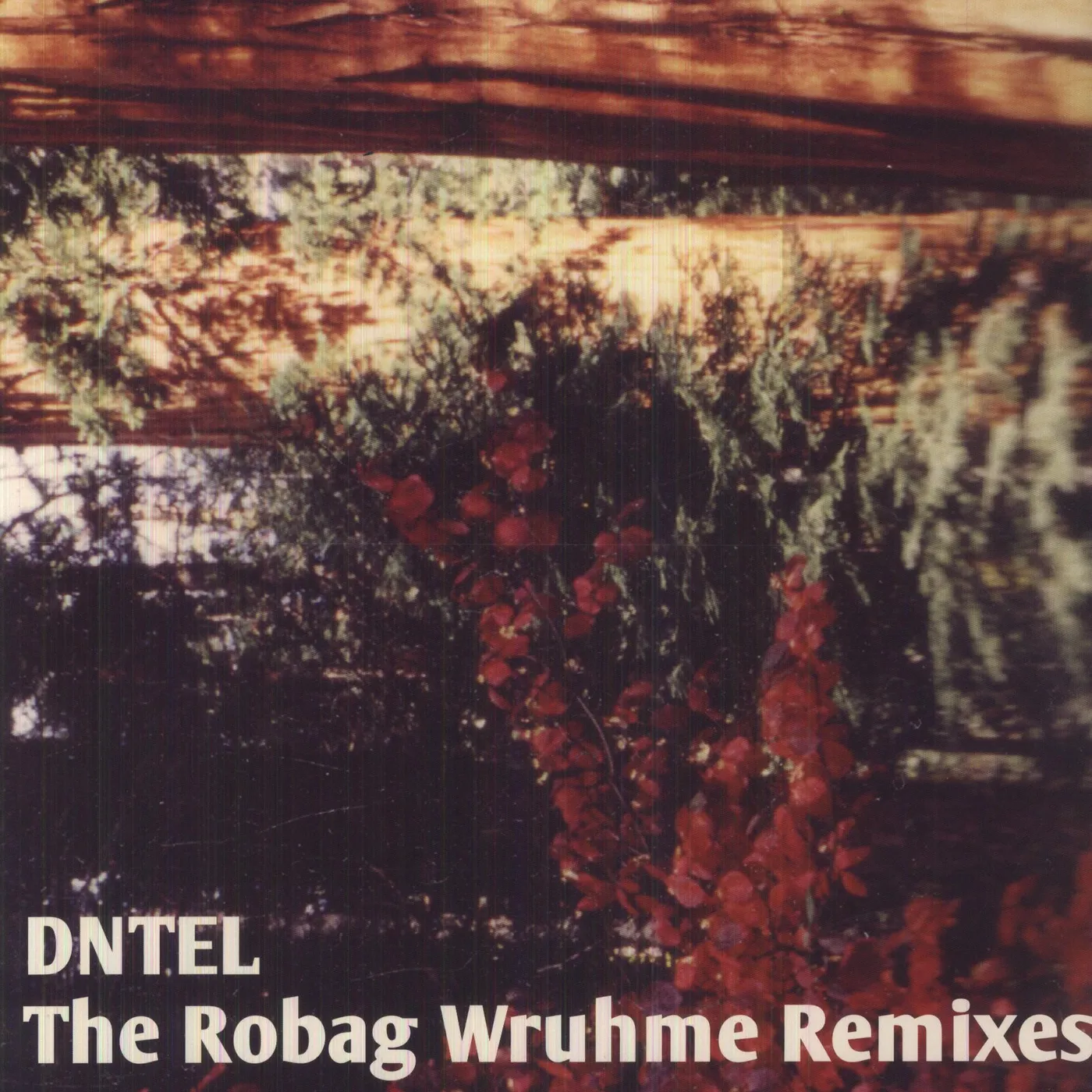 Dntel ROBAG WRUHME REMIXES Vinyl Record